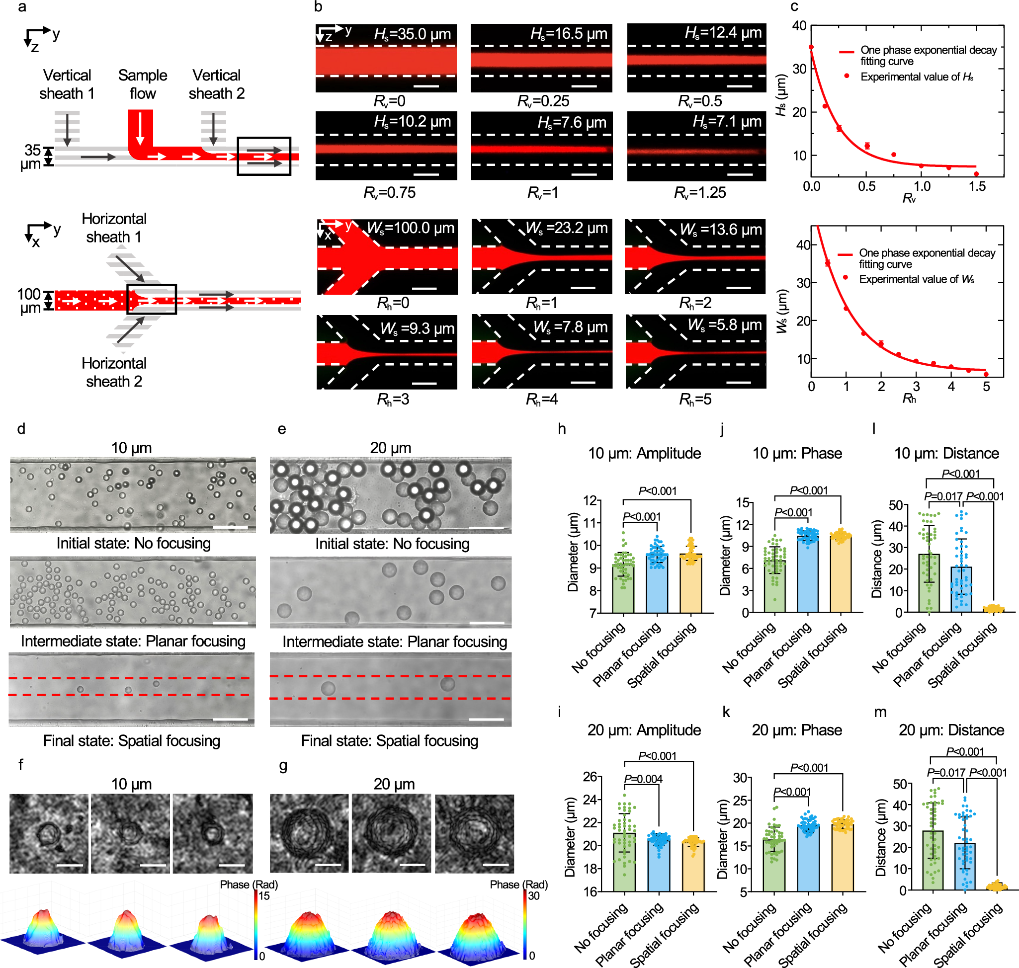 Fig. 2: Spatial hydrodynamic focusing validation and in-focus microparticle DHM detection.