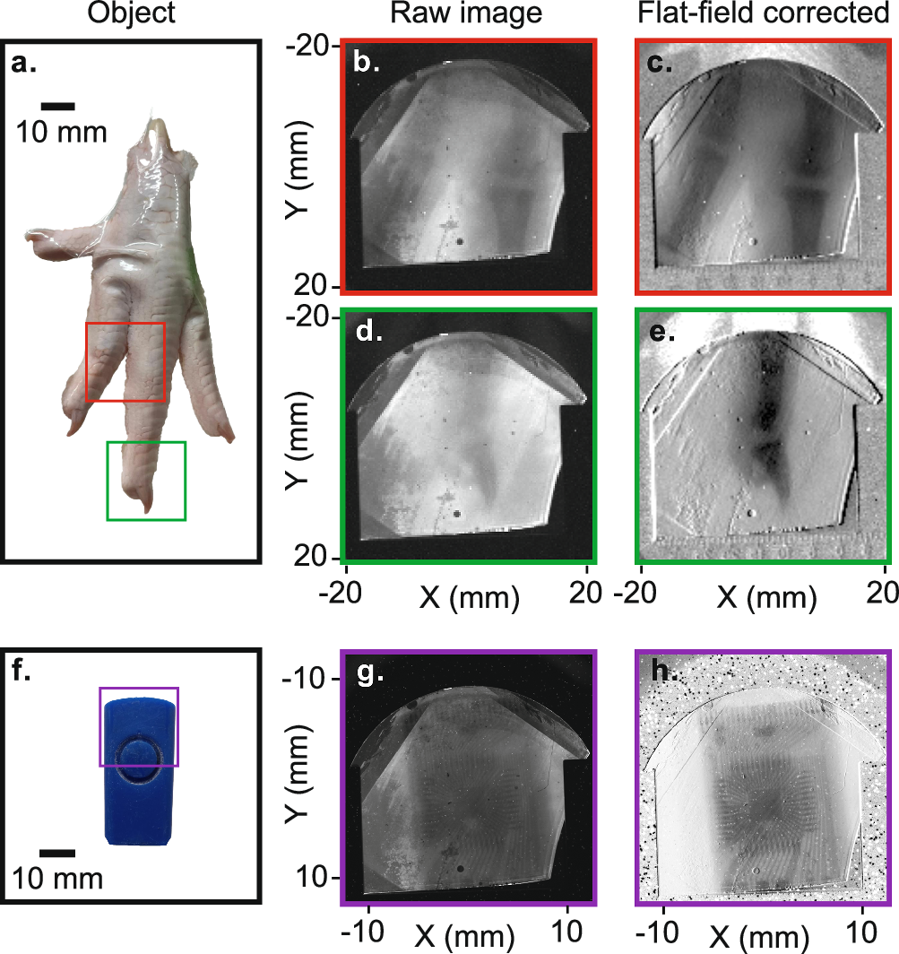 Fig. 3: X-ray imaging with large-area nanophotonic scintillators.
