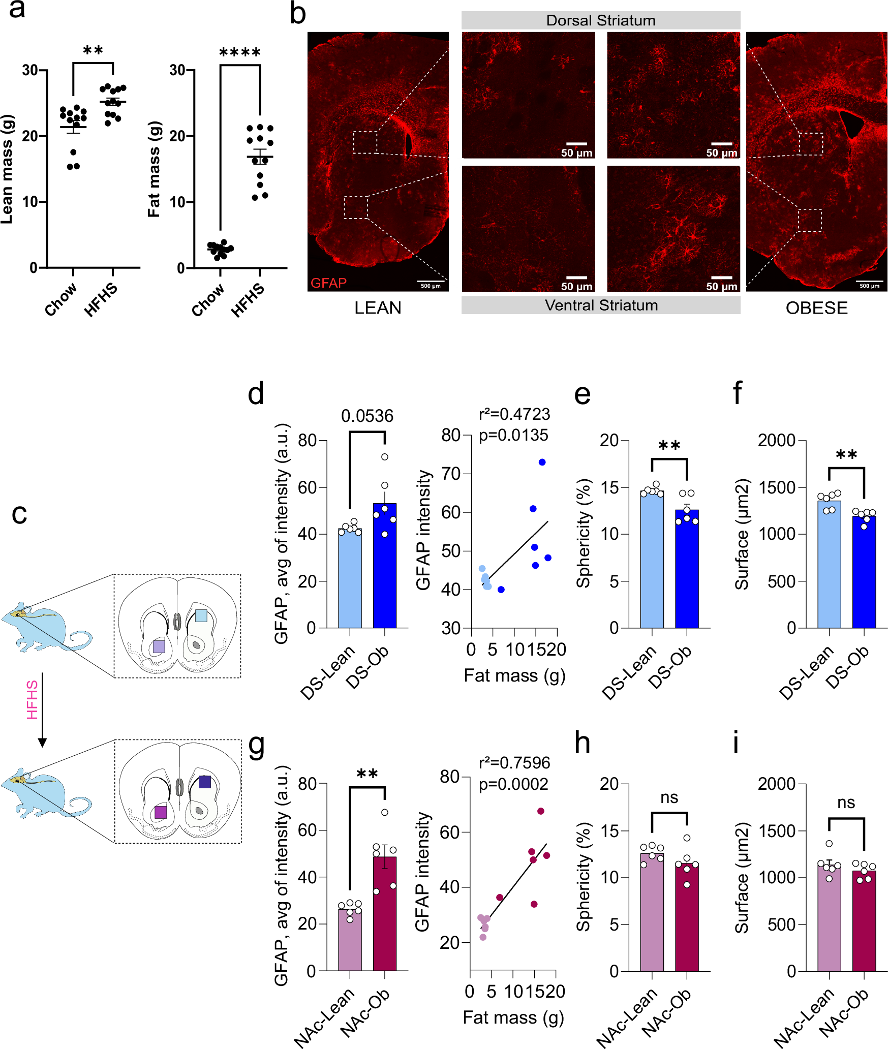 Striatal astrocytes modulate behavioral flexibility and whole-body metabolism