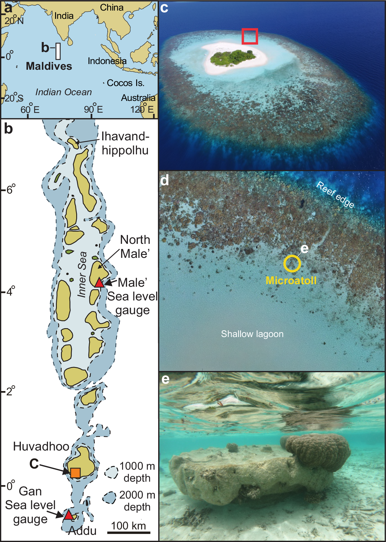 サンゴ骨格に刻まれた自然の記録が海面上昇の加速時期を修正（Natural archives in coral skeletons show sea-level rise began accelerating earlier than previously thought）