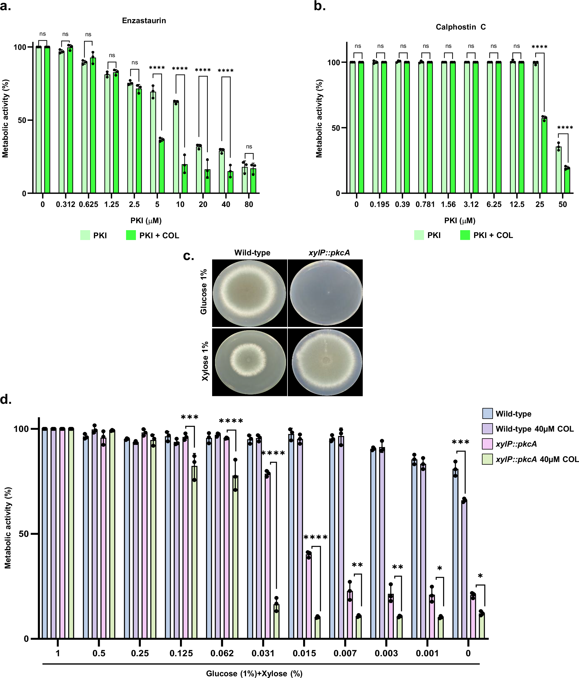 Fig. 4: Protein kinase C is important for COL susceptibility.