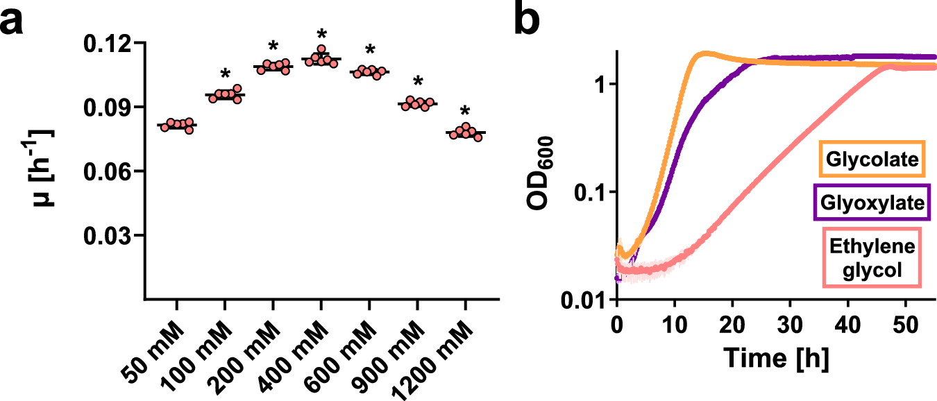 Fig. 2: Growth of P. denitrificans on ethylene glycol.