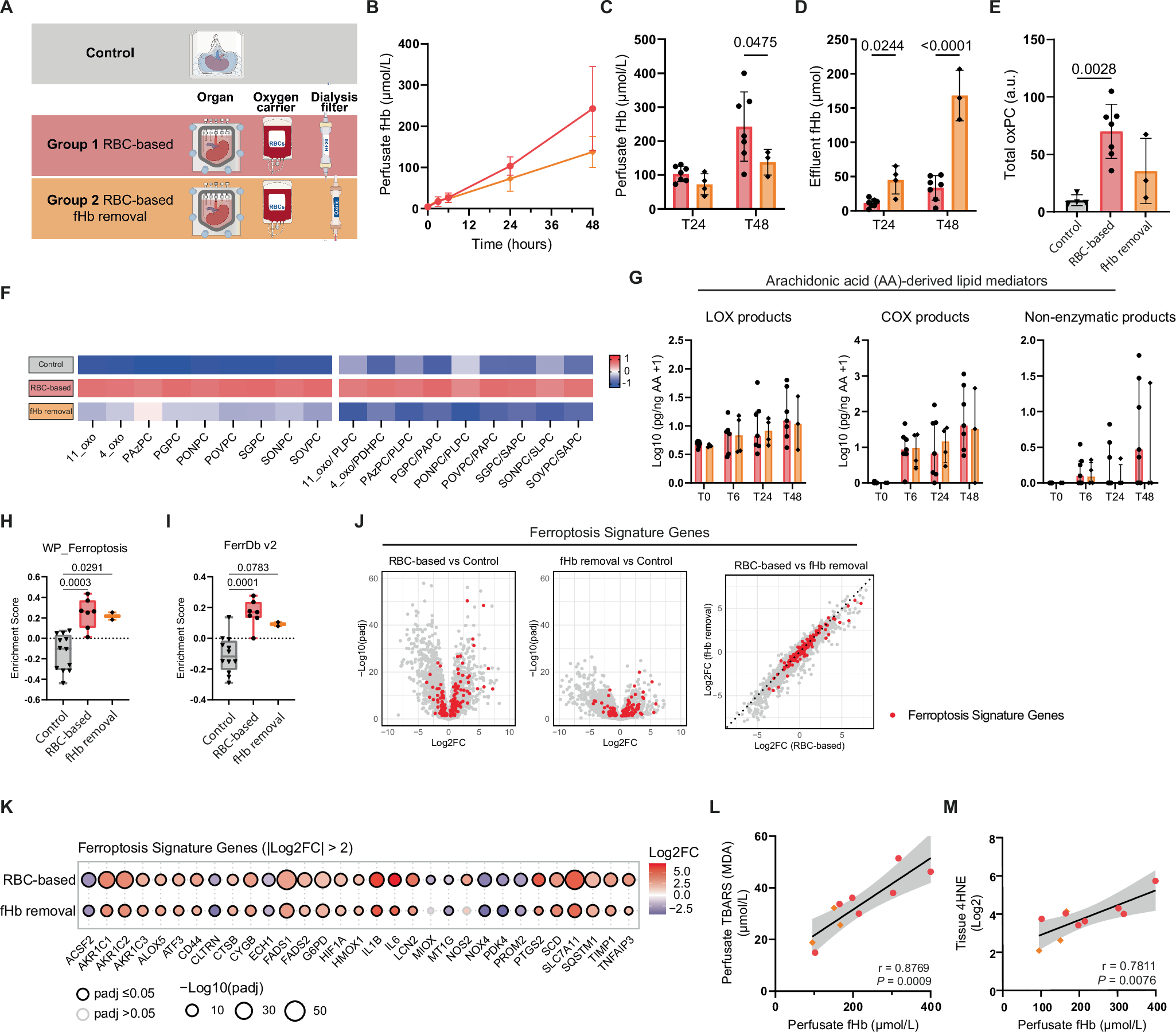 Fig. 3: Dialysis-based free hemoglobin removal reduces hemolysis-driven phospholipid peroxidation.