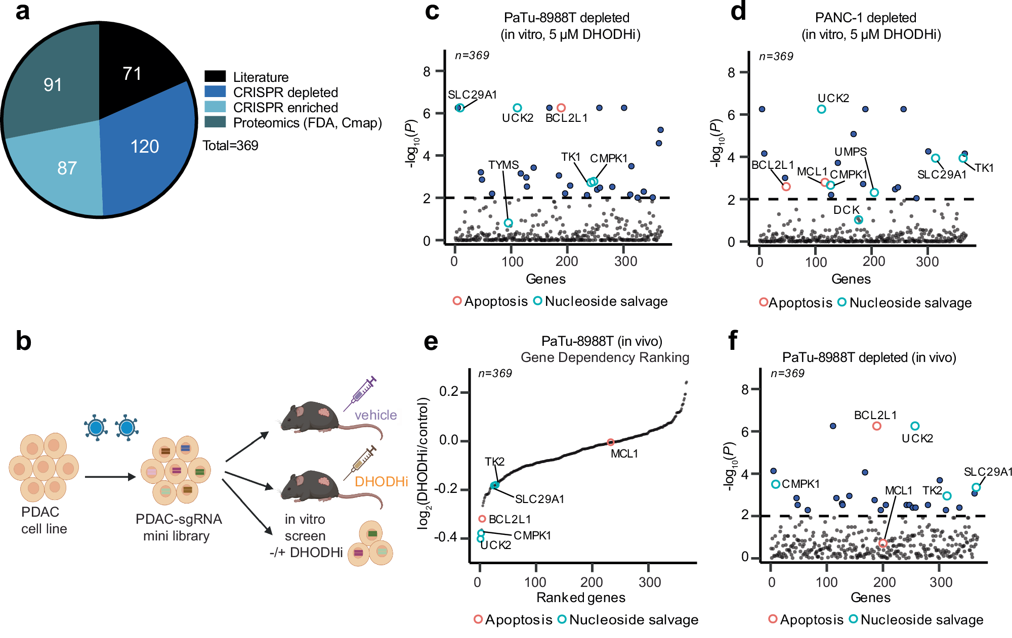 Fig. 2: Targeted in vivo CRISPR/Cas9 loss-of-function screen identifies synthetic lethalities with BQ in PDAC.