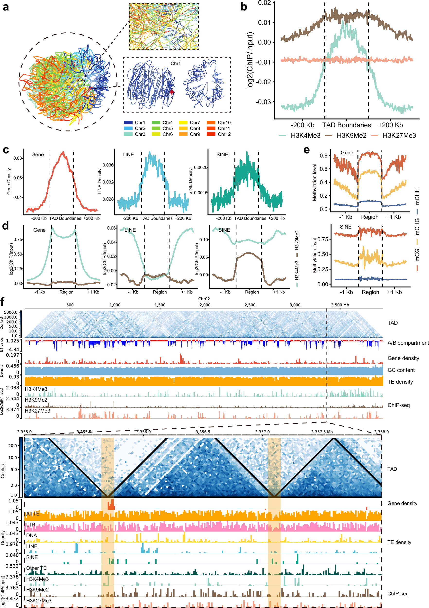 Fig. 5: Epigenetic footprint and 3D genomic feature of L. regale.