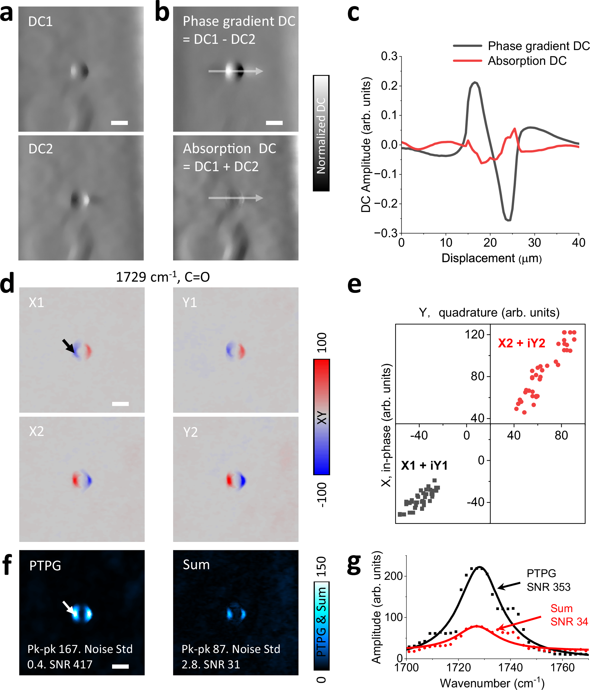 Fig. 3: OPTM imaging of microparticles in a scattering medium.