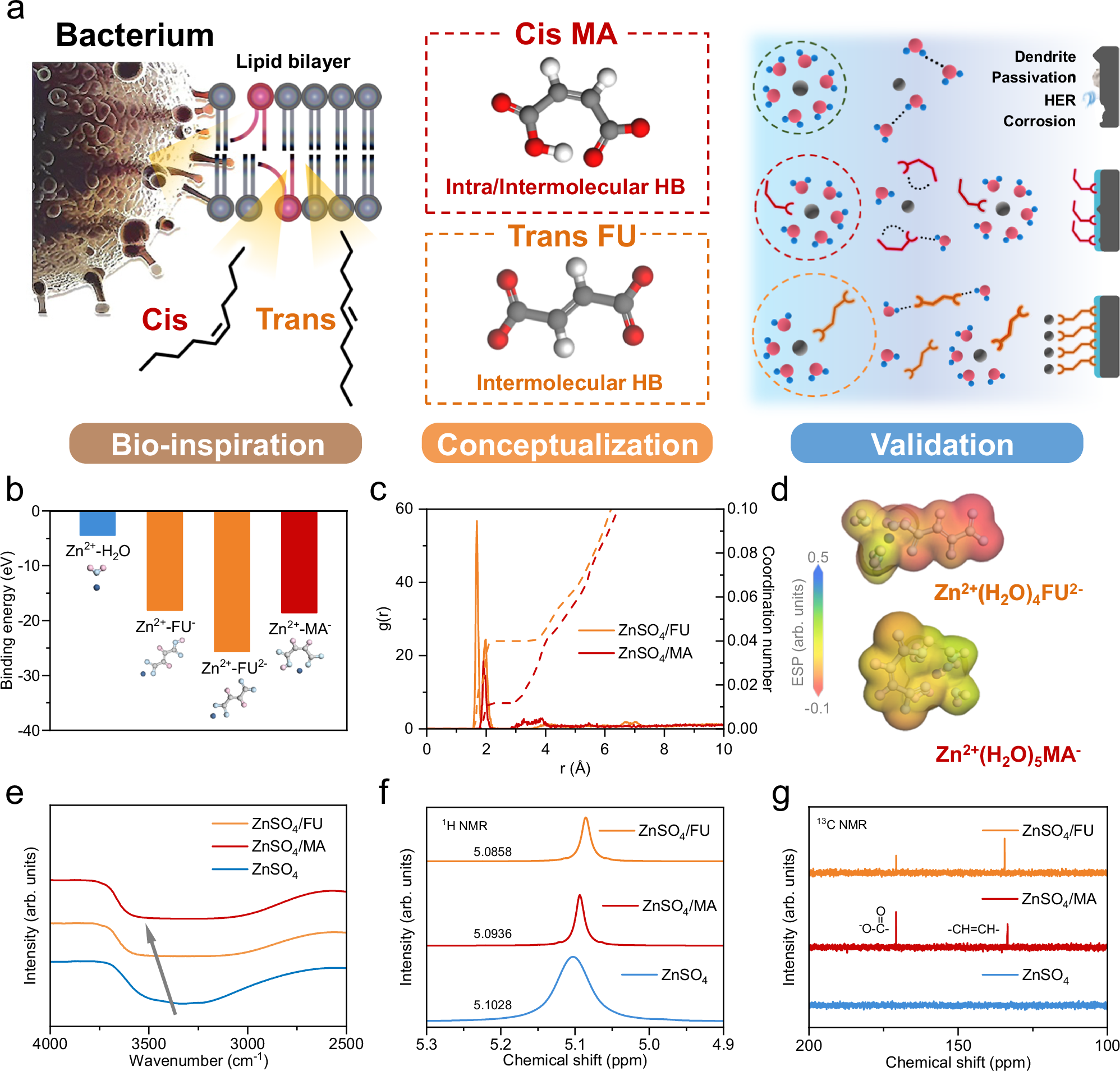 Fig. 1: Concept and interaction chemistry by stereoisomers.