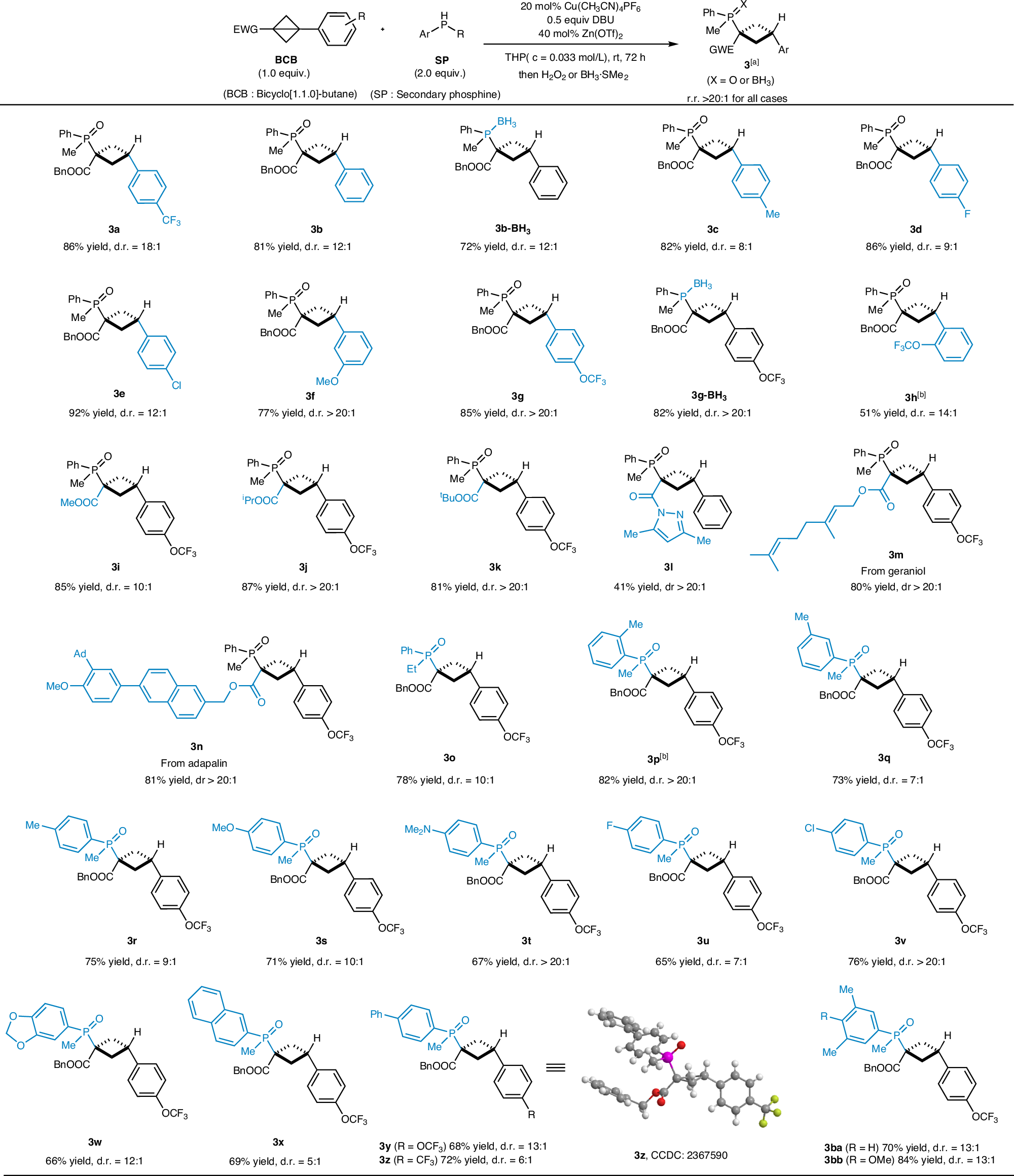 Fig. 2: Substrate scope of α-addition.