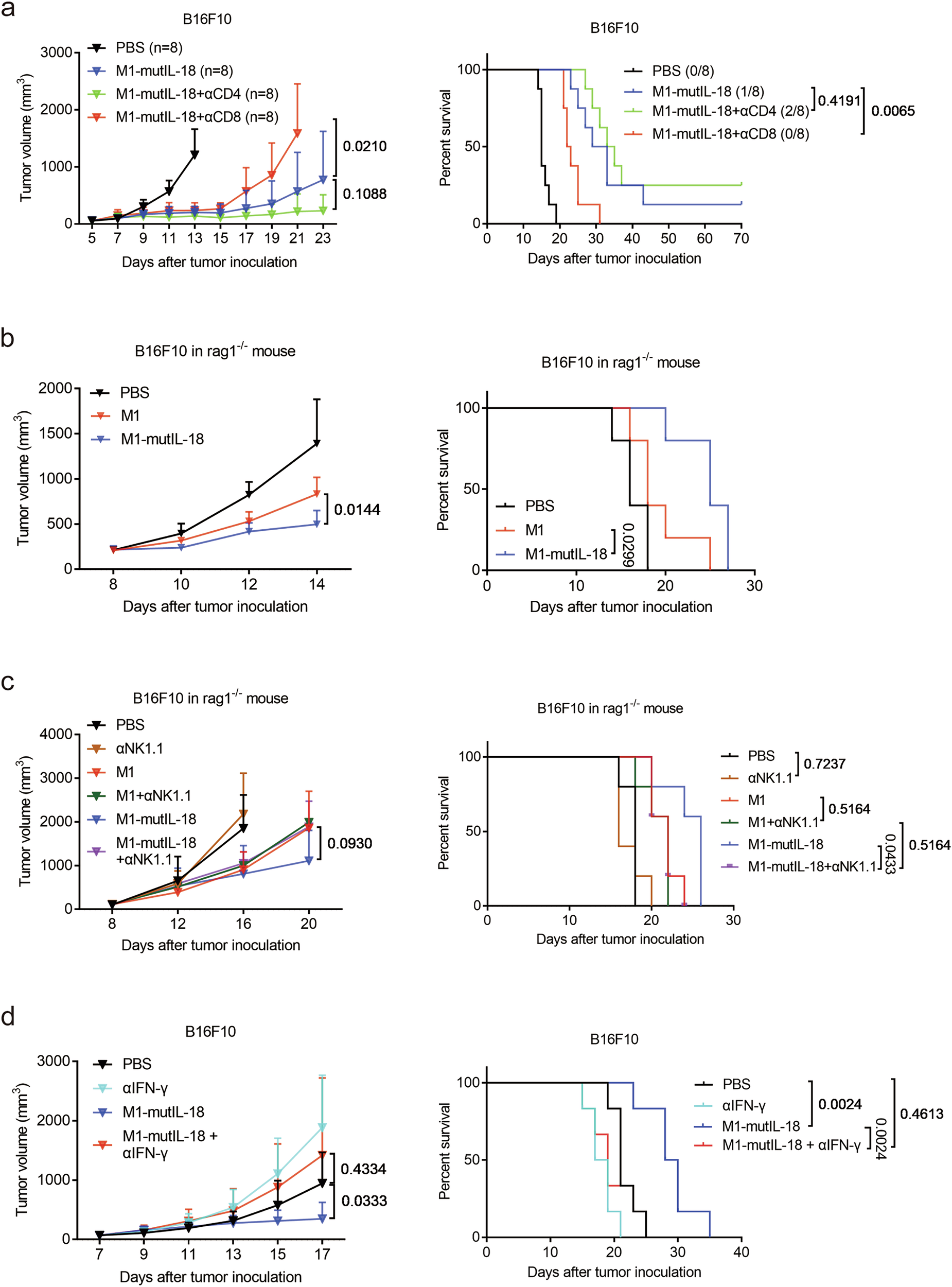 Fig. 7: CD8+ T cells, NK cells and IFN-γ mediate the antitumor effect of M1-mutIL-18.