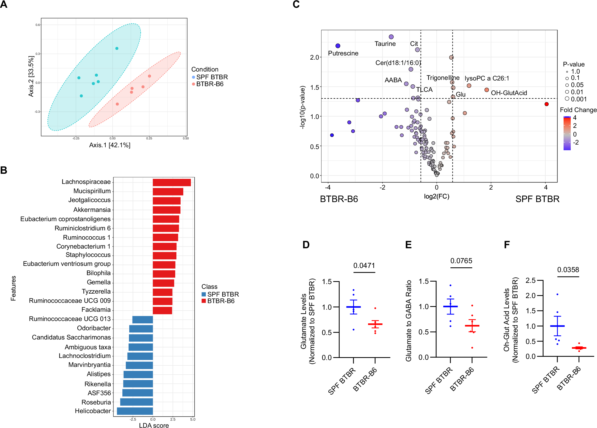 Fig. 6: Healthy gut microbiota reduces ASD-associated metabolites in BTBR mice.