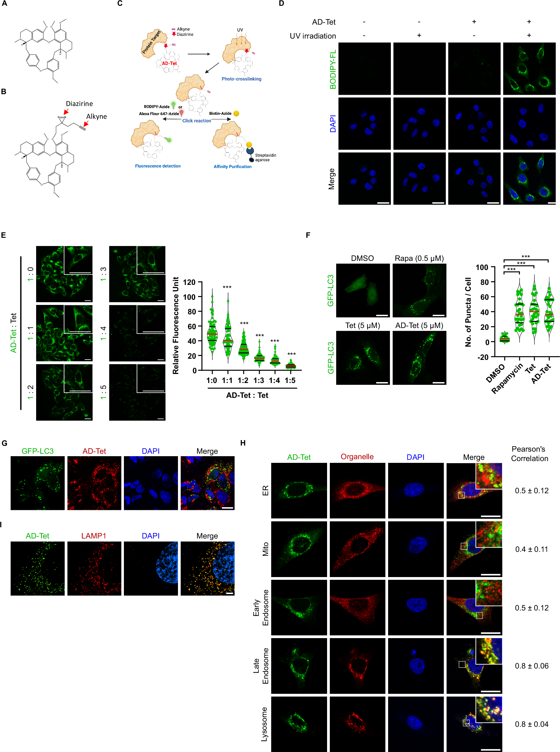 Fig. 1: Development of alkynyl diazirine derivative of Tet (AD-Tet) as a probe of Tet.