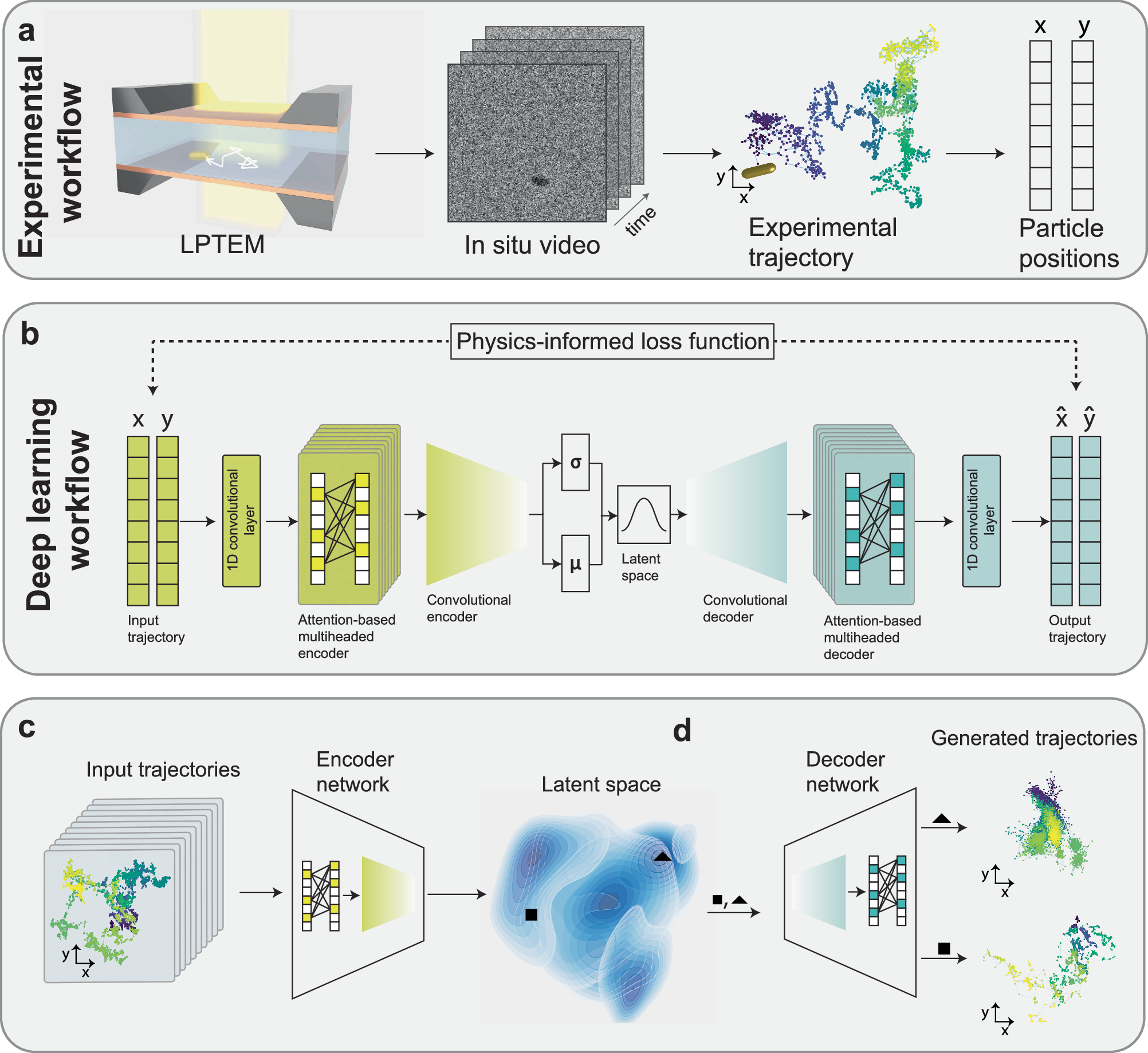 AIでナノ粒子運動を解析するツールを開発（Study: New AI Tool Deciphers Mysteries of Nanoparticle Motion in Liquid Environments）