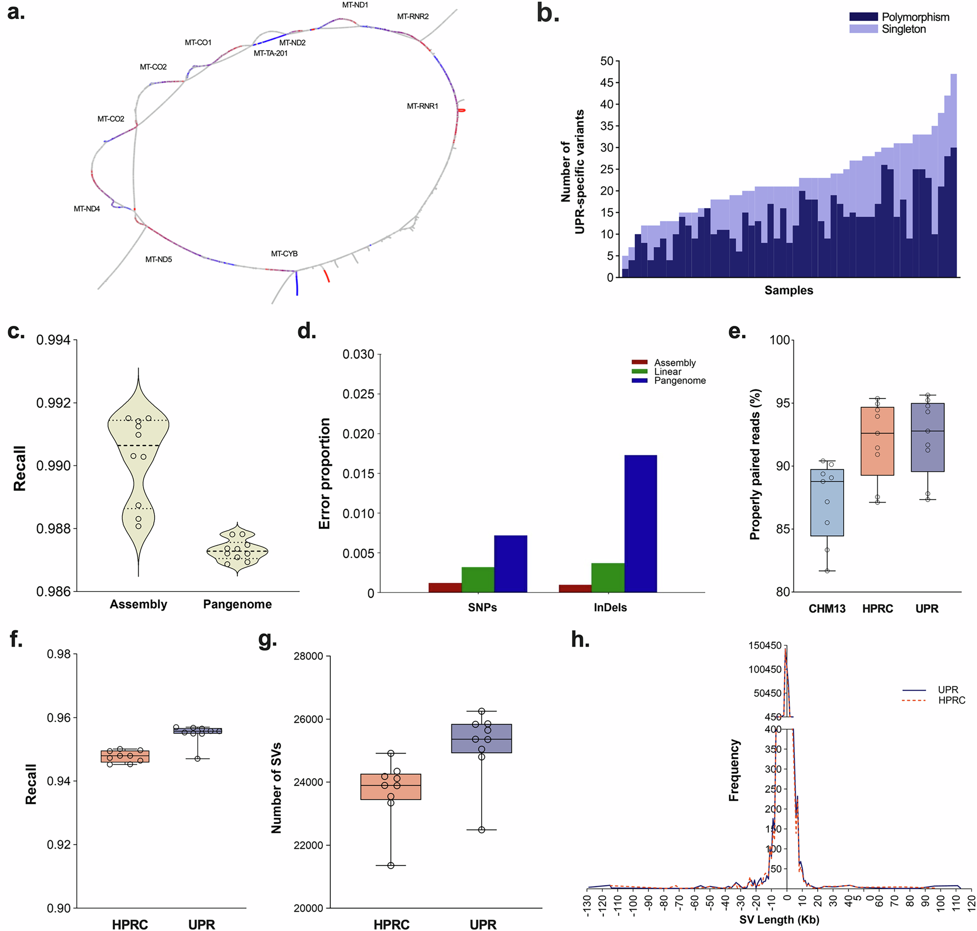 Fig. 5: Mitochondrial pangenome analysis and nuclear pangenome performance gain.