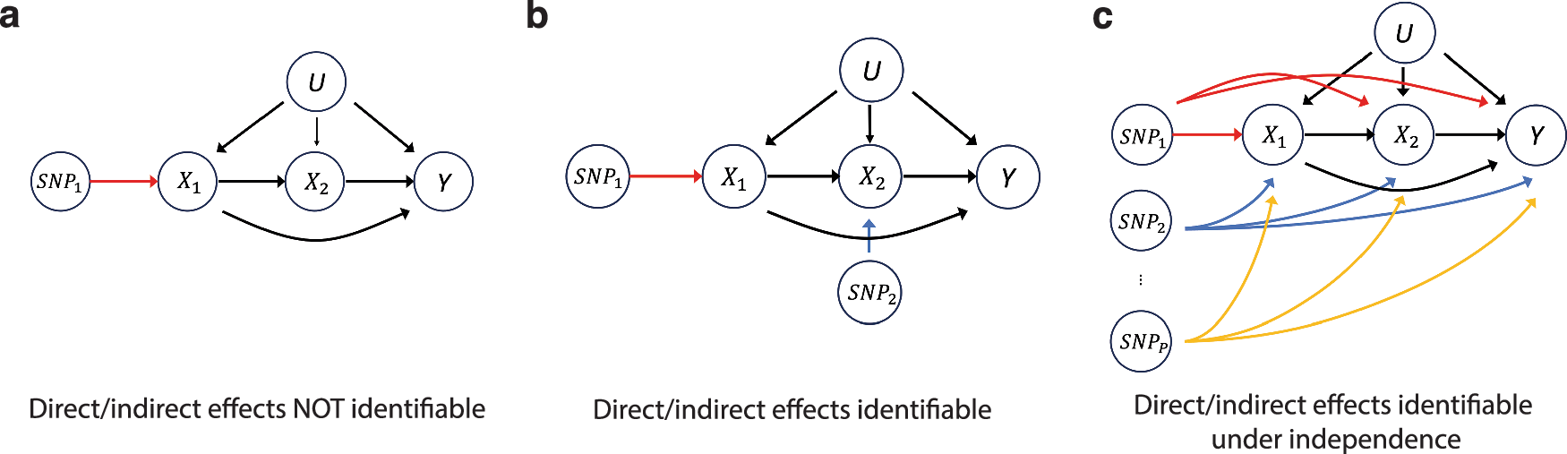 Fig. 2: Identifiability of the direct and indirect causal effects between traits under three scenarios.