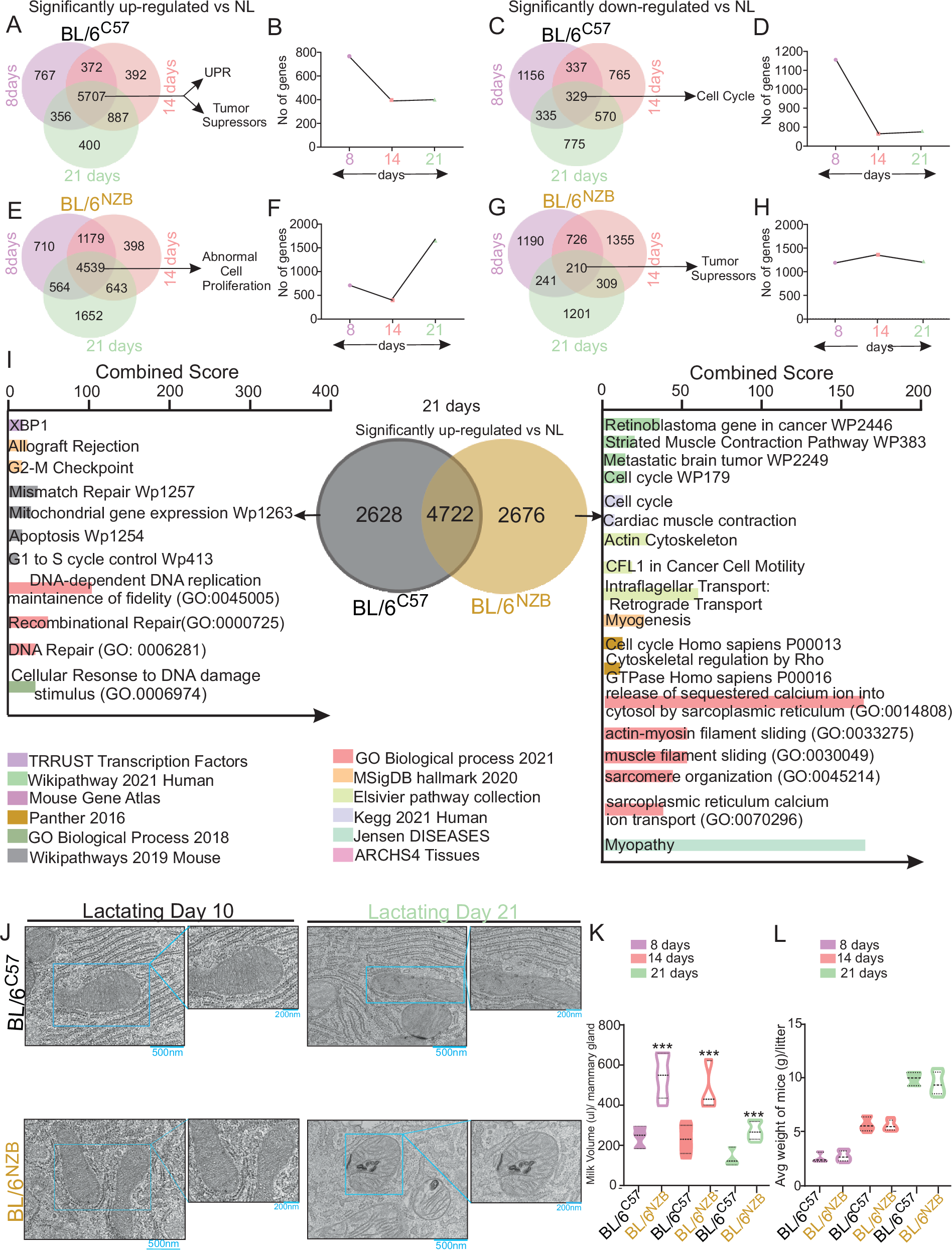 母乳育児が乳がん予防に持つ代謝的メカニズムを解明(Mount Sinai Researchers Discover Link Between Metabolism and Protective Effect of Breastfeeding Against Breast Cancer)