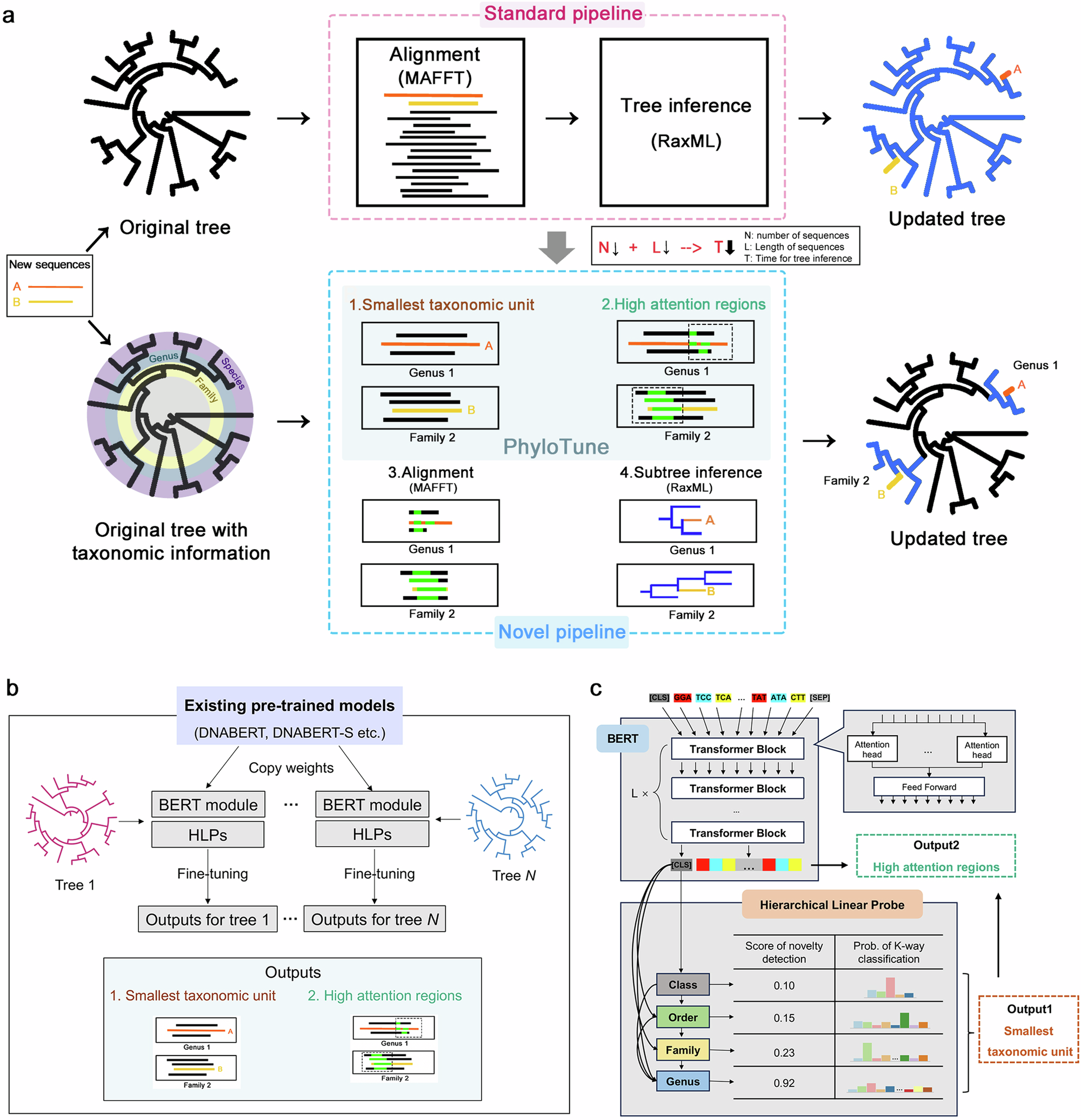 Fig. 1: Overview of the tree update process and PhyloTune methodology.