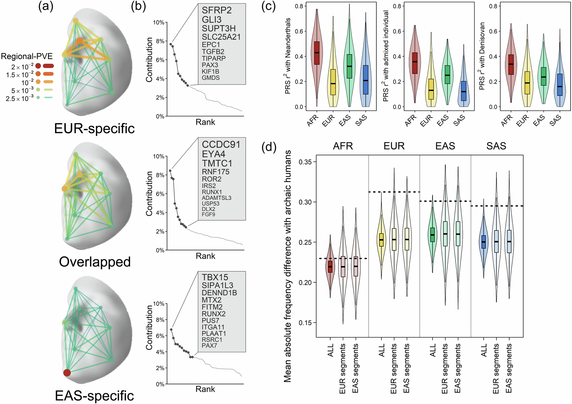 Fig. 7: Inferring the relationship between archaic and modern human facial shape using face-associated SNPs.