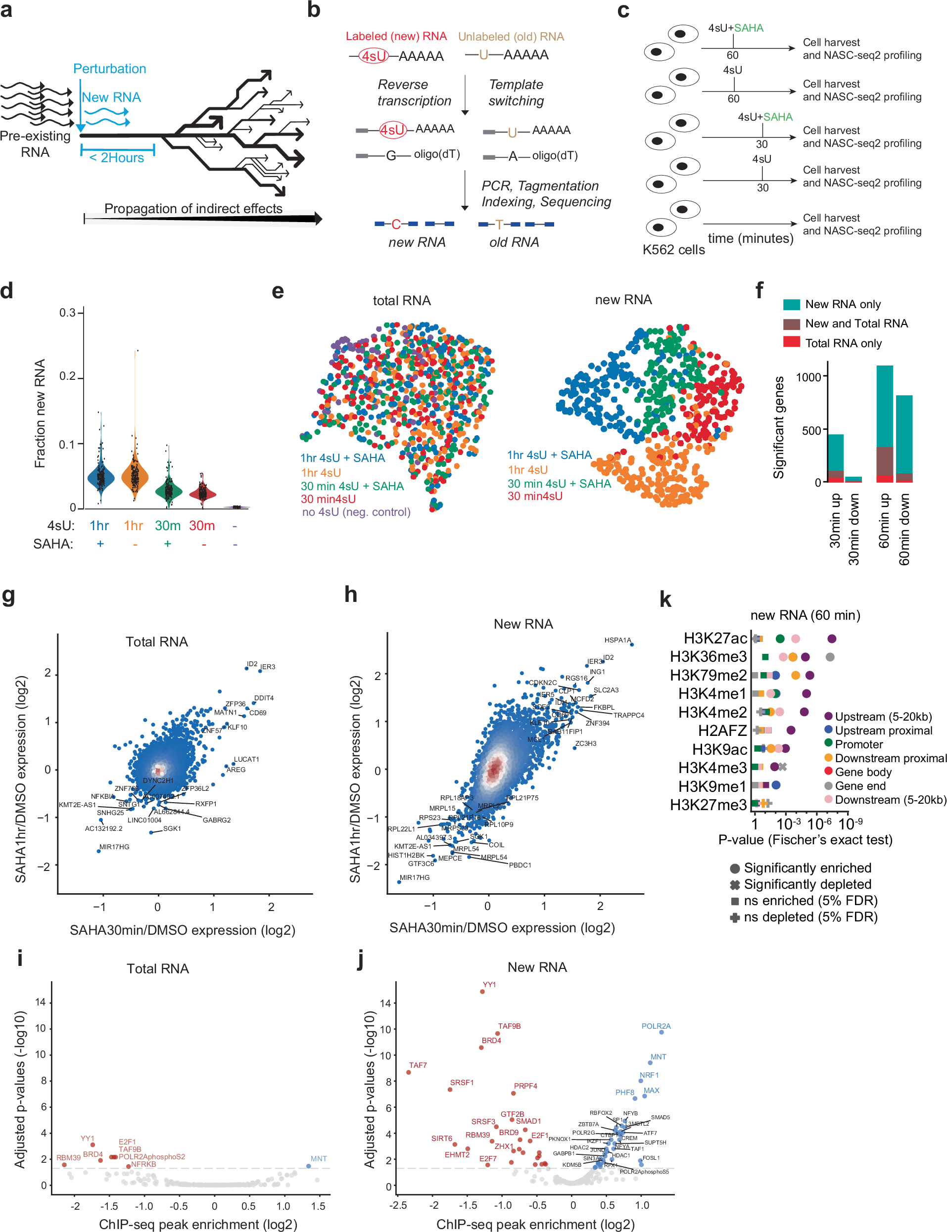 Deciphering direct transcriptional effects of epigenetic compounds through  large-scale new RNA profiling | Nature Communications