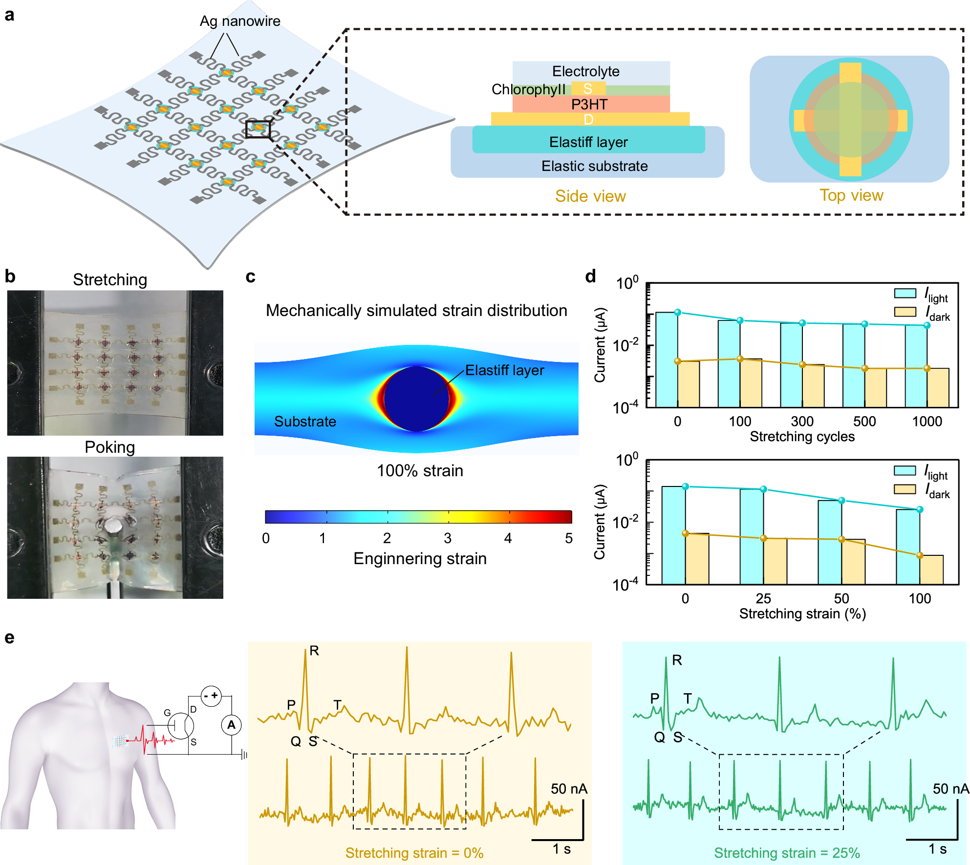 Fig. 5: Design of island-bridge nHOED and its sensing behaviors.