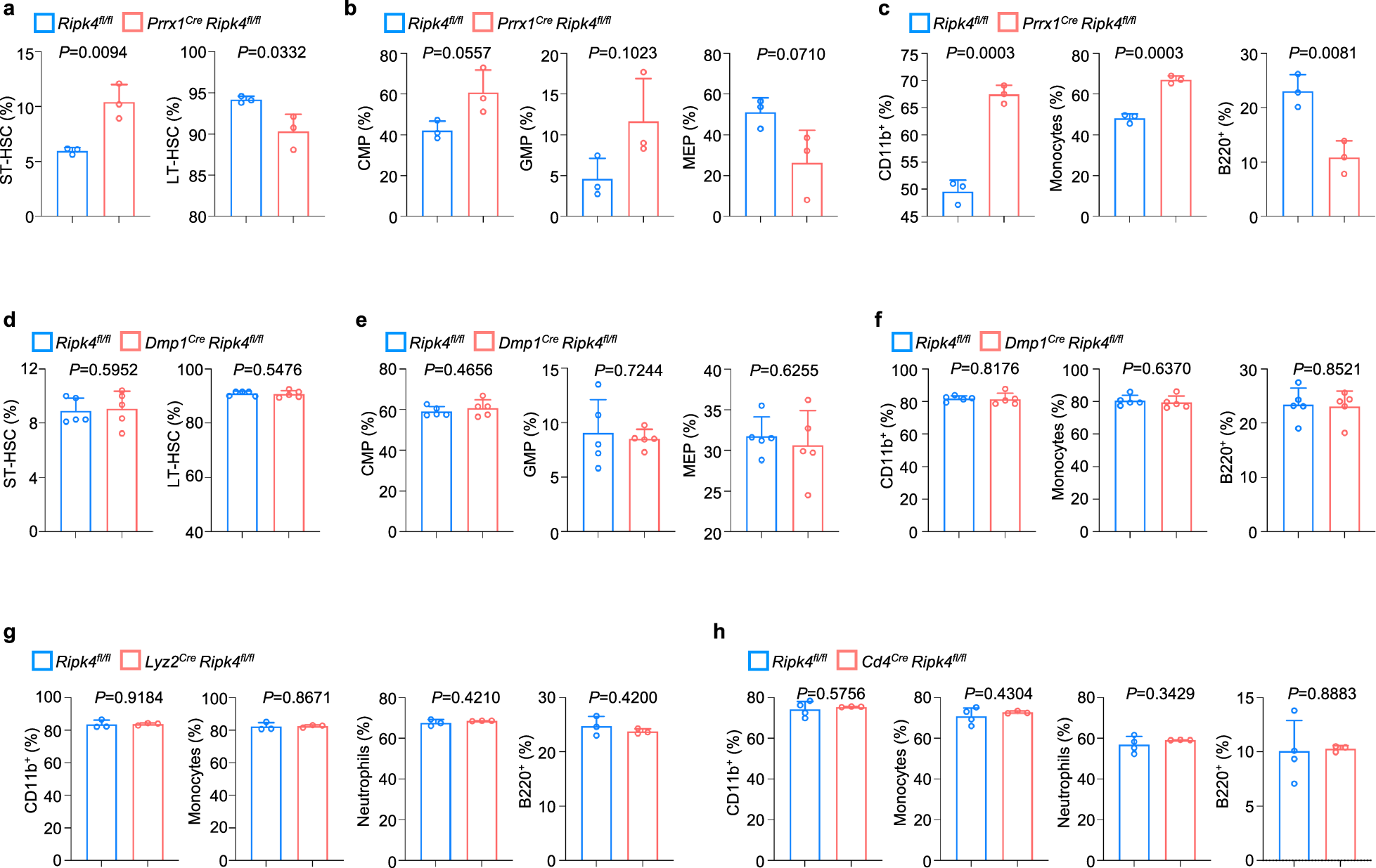 Fig. 4: Osteolineage RIPK4 deficiency results in myeloid-biased hematopoiesis.