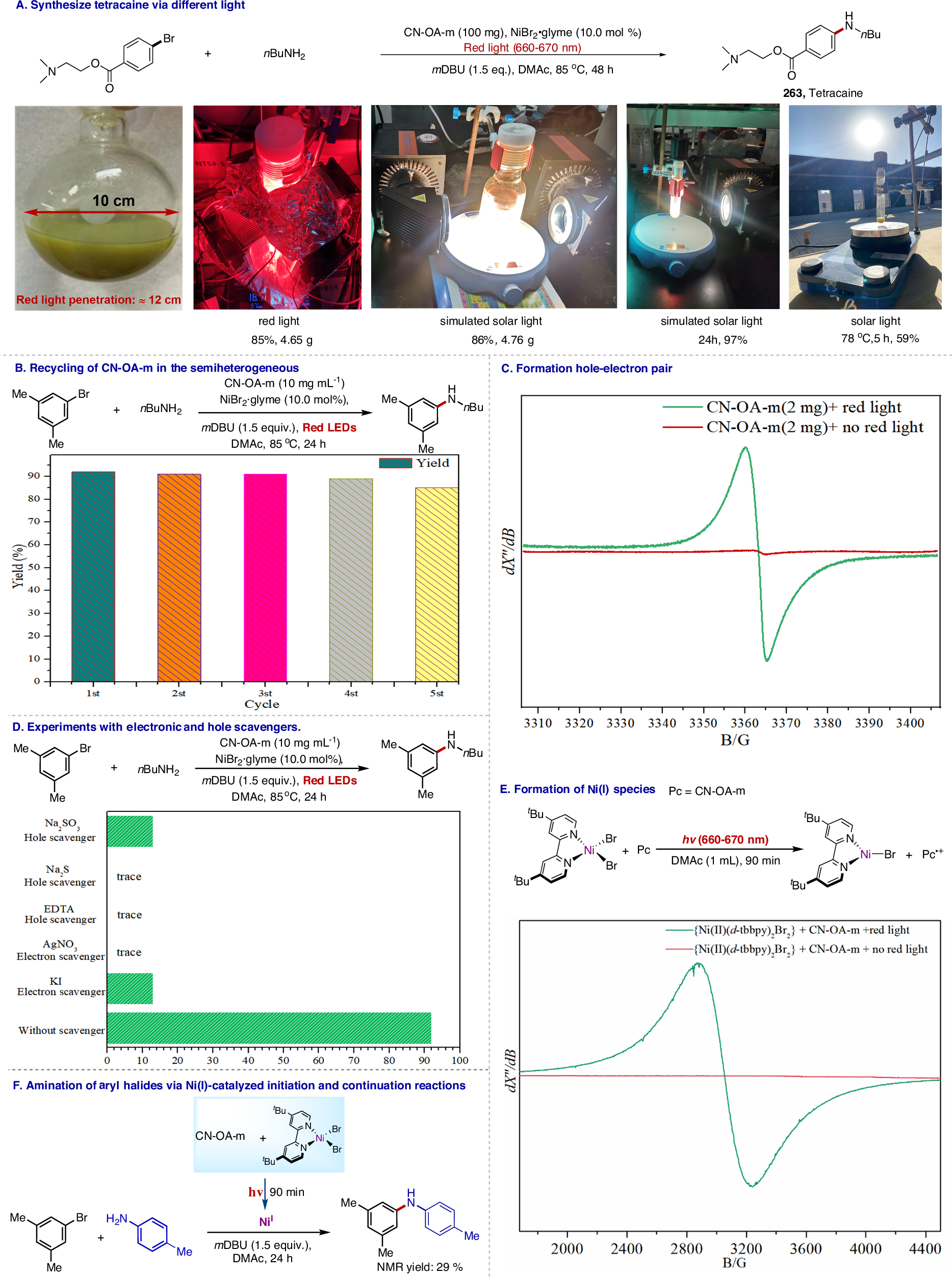 Fig. 8: Synthetic application and mechanistic considerations.