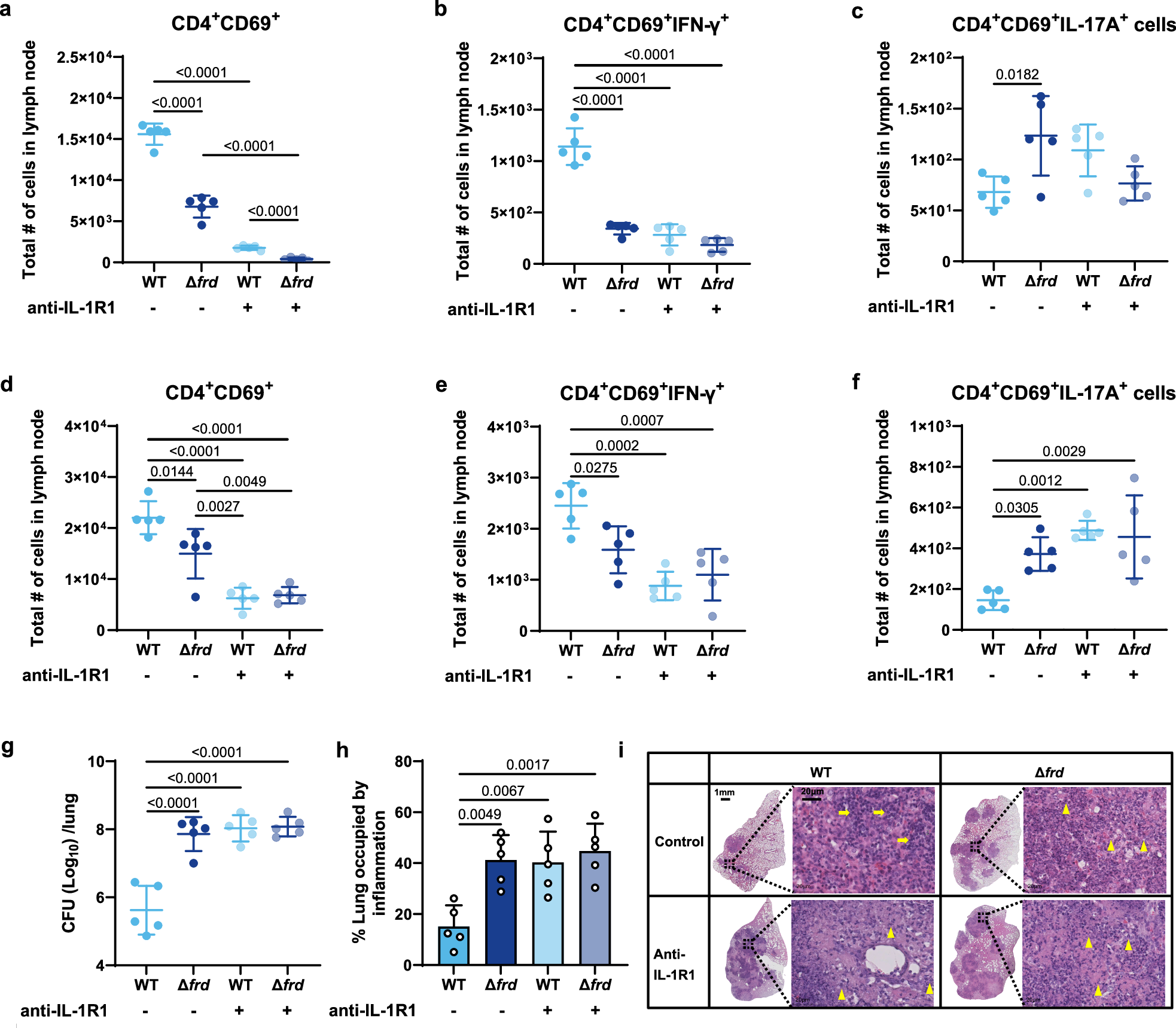 Fig. 8: M. bovis frd HT insertions drive Th17-biased immunity and bacterial pathogenicity via IL-1R suppression.