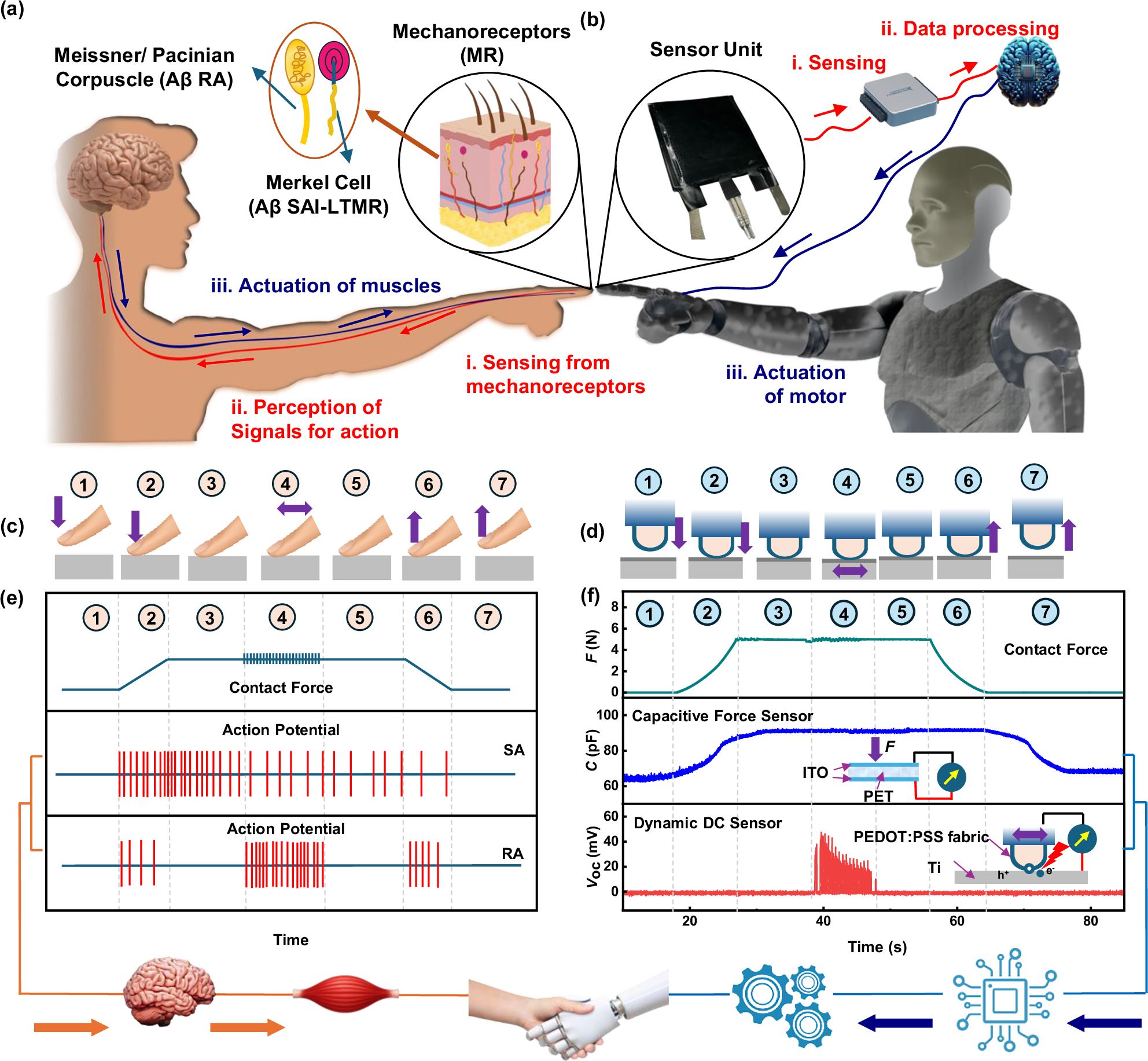 科学者たちが人の皮膚に似た布でロボットに触覚を与える（Scientists give robots a sense of touch with fabric that mimics human skin）