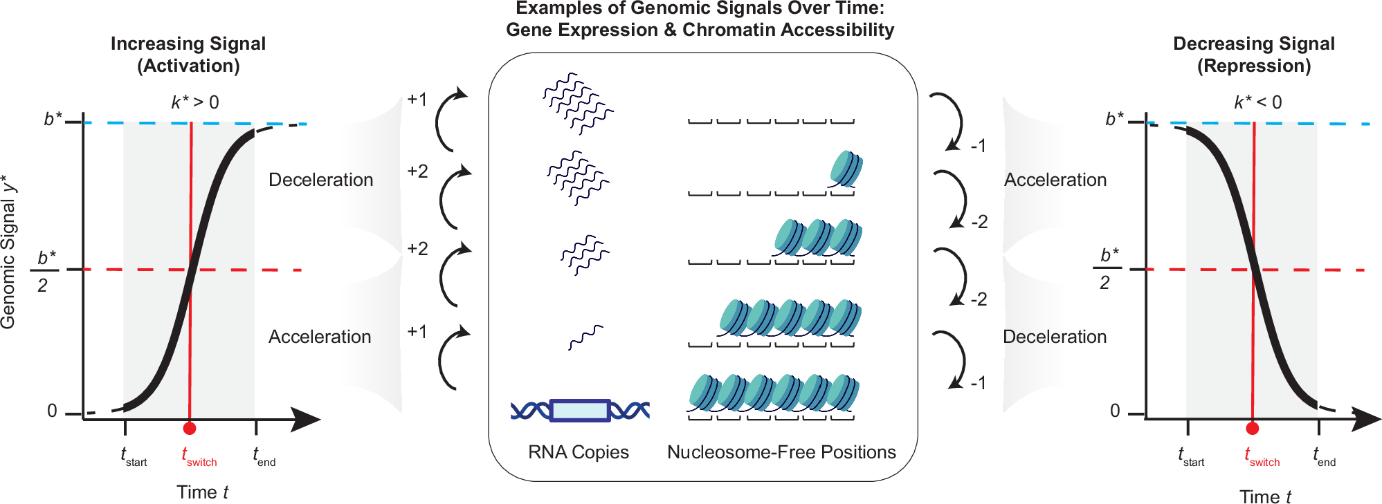 遺伝性脳疾患の治療タイミングを特定(Timing is everything: Finding treatment windows in genetic brain disease)