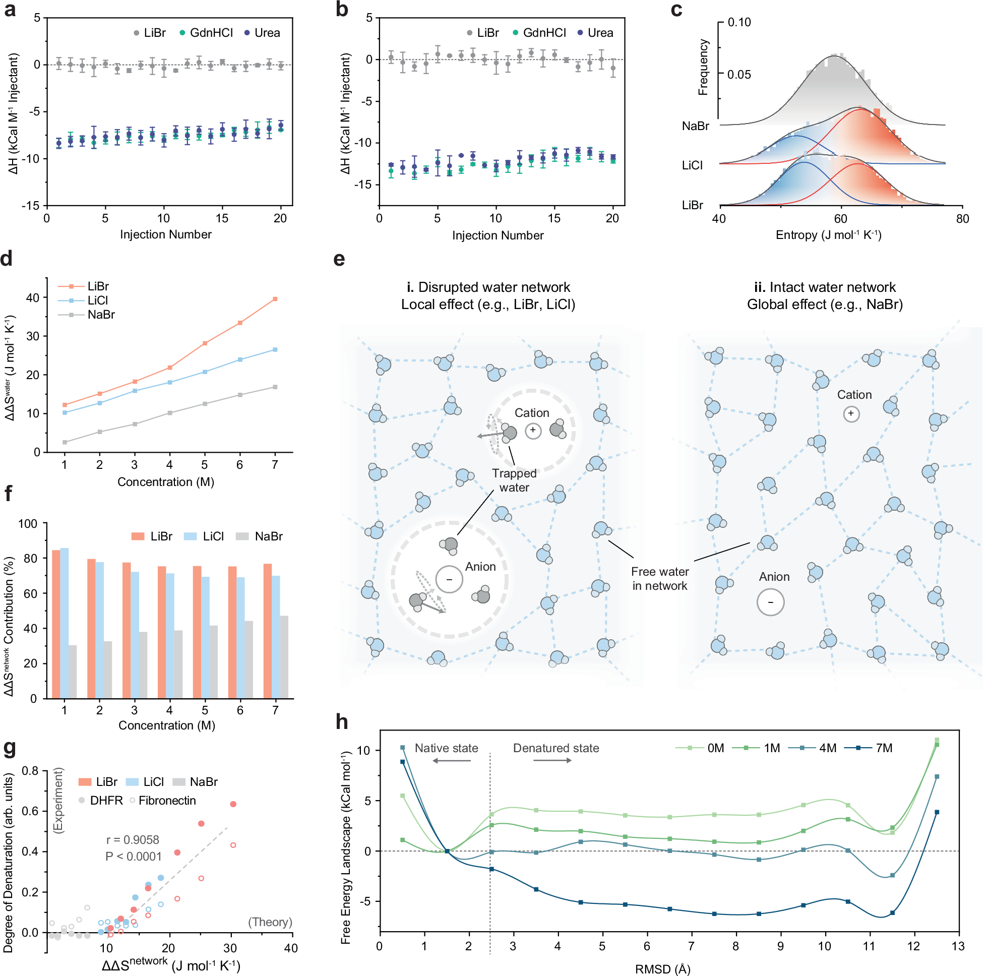 Fig. 3: Protein conformational changes come from indirect solute effects manifested as water network entropy.
