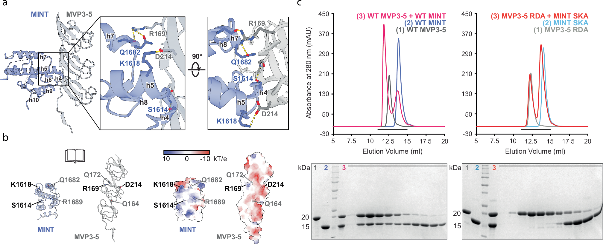 Fig. 2: Electrostatic interactions drive MVP-PARP4 complex formation.