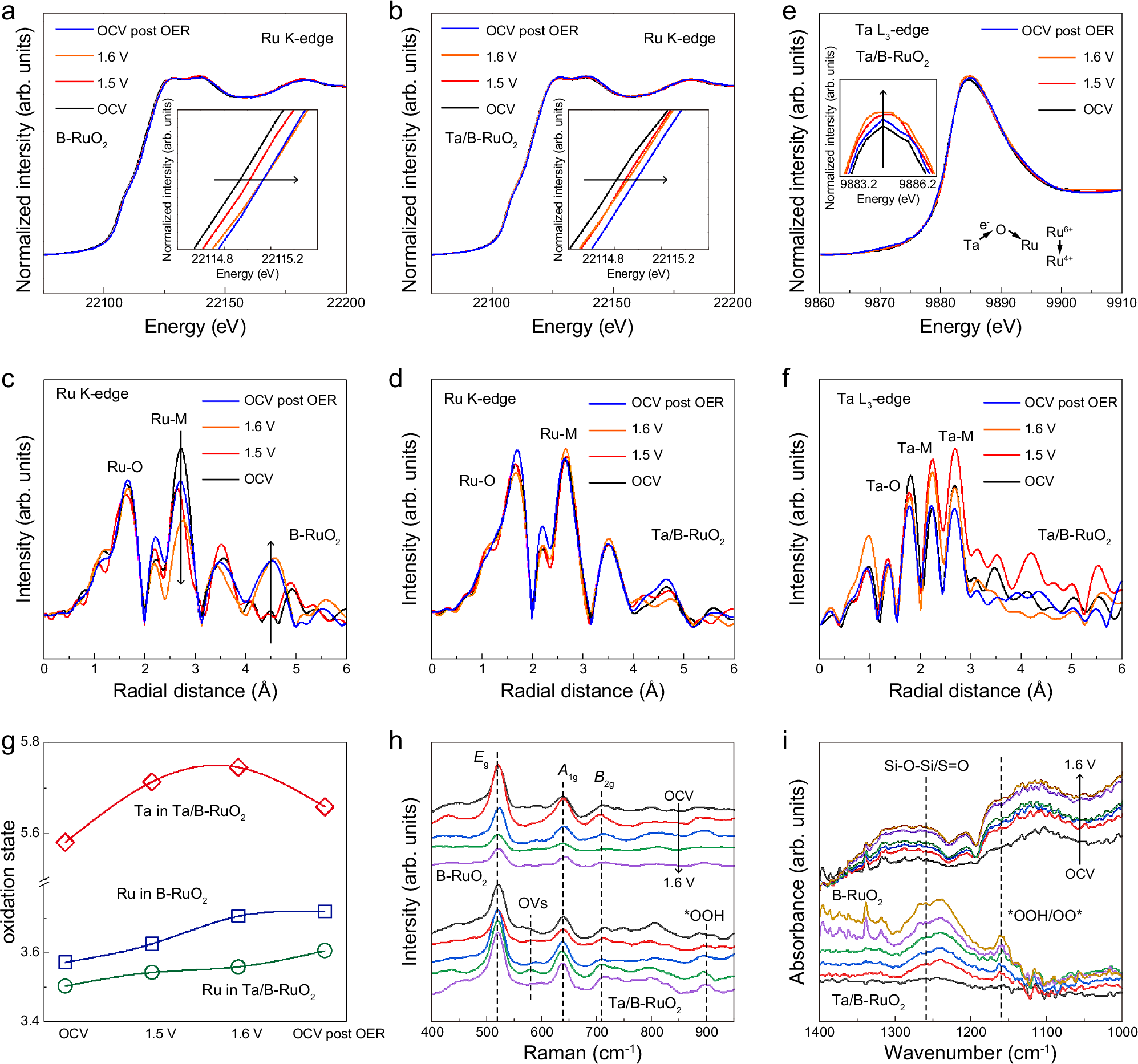 Fig. 3: In-situ spectroscopic observation.