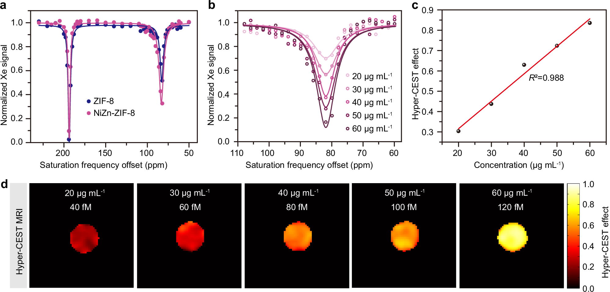 Fig. 4: Hyperpolarized 129Xe NMR and MRI performance of NiZn-ZIF-8 (nickel percentage 0.08%) at low concentrations.