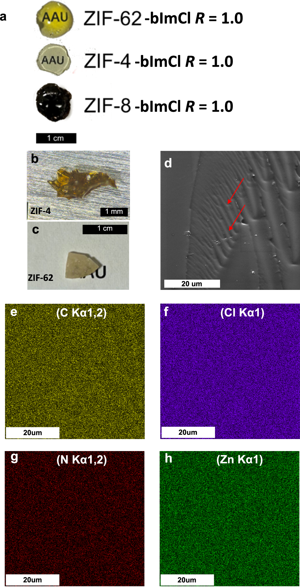 Fig. 2: Photographs, SEM images, and compositional mapping of H2bImCl modified ZIF-derived glasses.