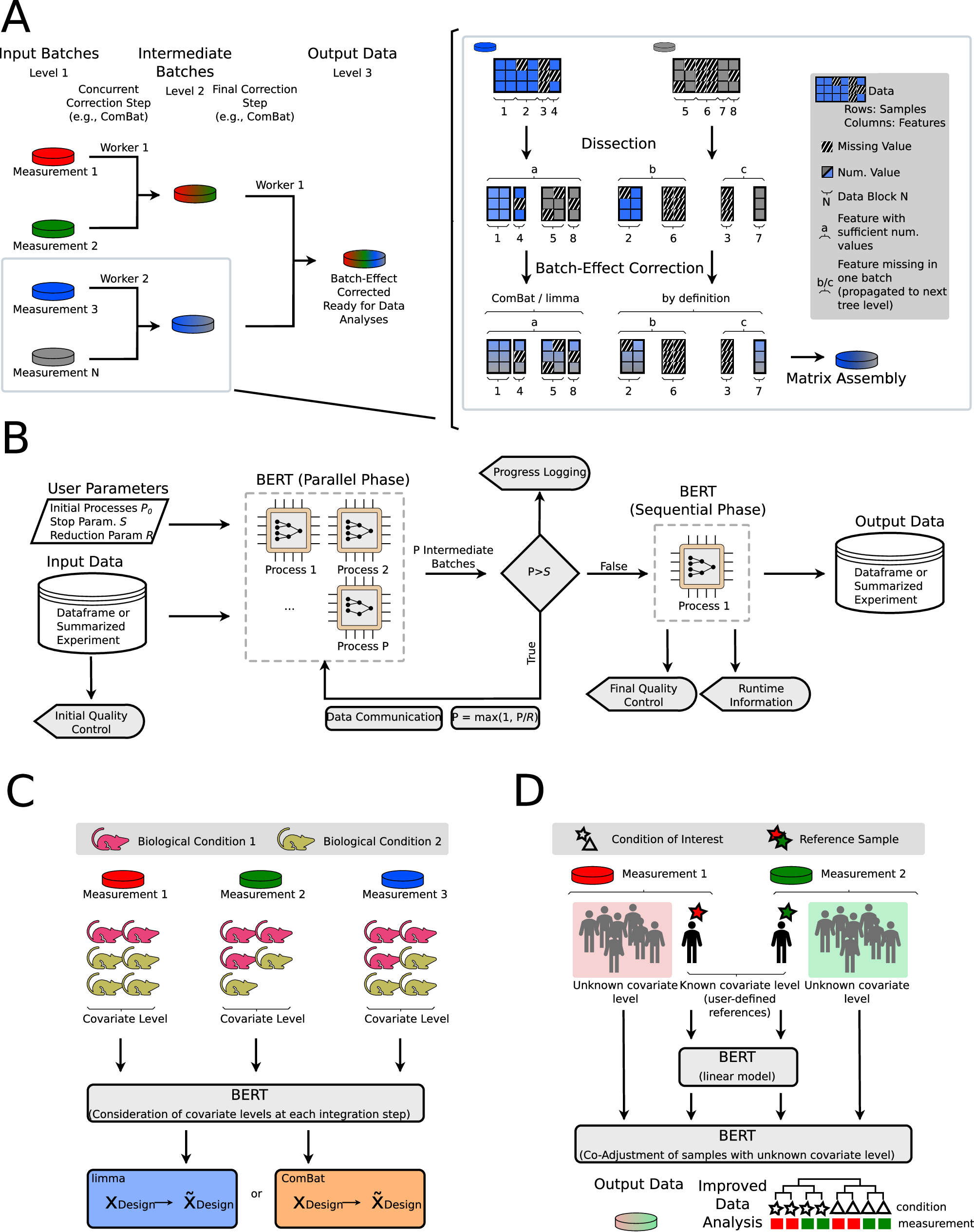 Fig. 2: Detailed overview over the BERT algorithm.