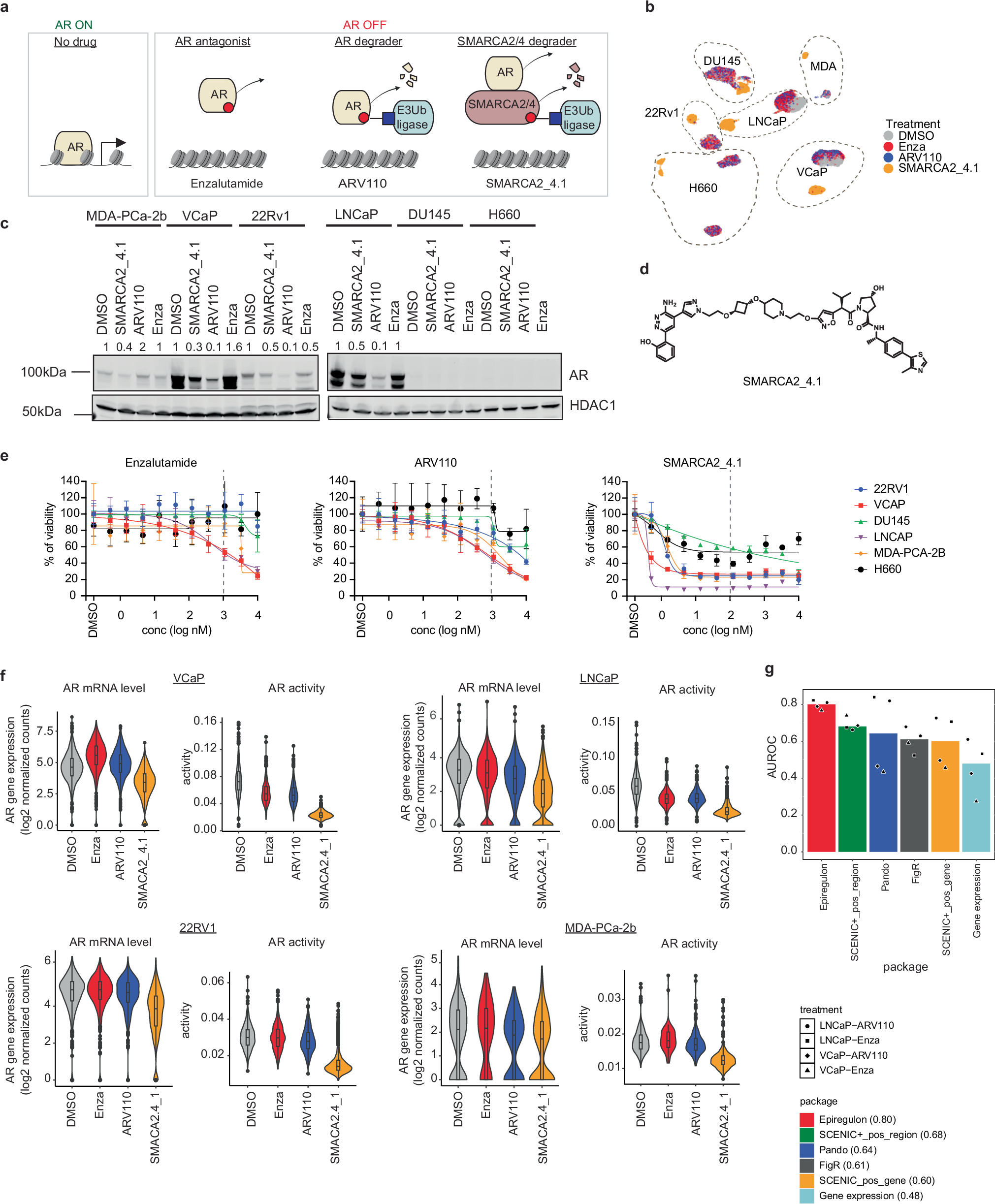 Fig. 2: Epiregulon predicts the responses of AR-modulating drugs.