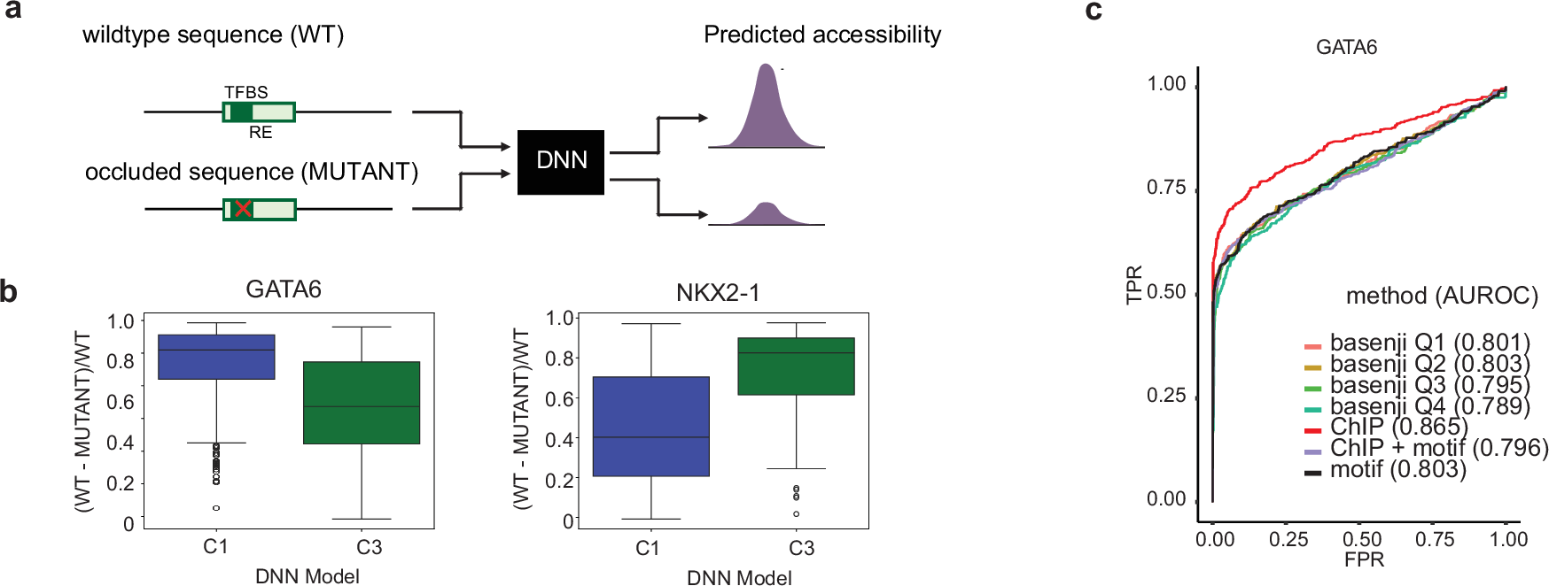 Fig. 6: Deep neural network (DNN) models validate regulatory elements in regulons.