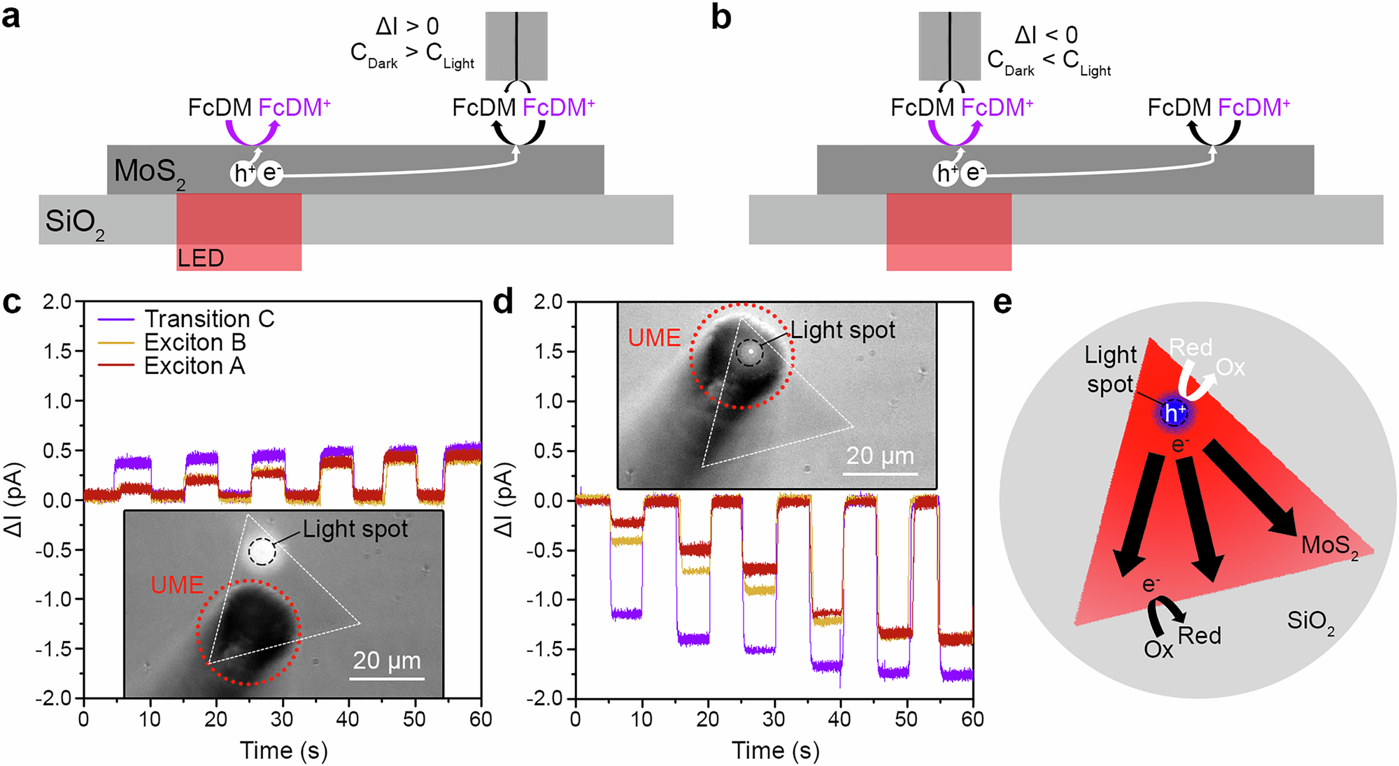 Fig. 3: Aligned-unaligned excitation-detection experiments in monolayer MoS2.