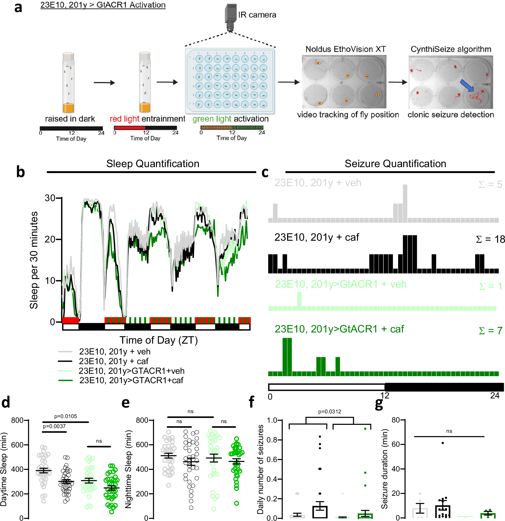Fig. 6: Inhibition of sleep-promoting circuits protects against seizures in the setting of sleep loss.