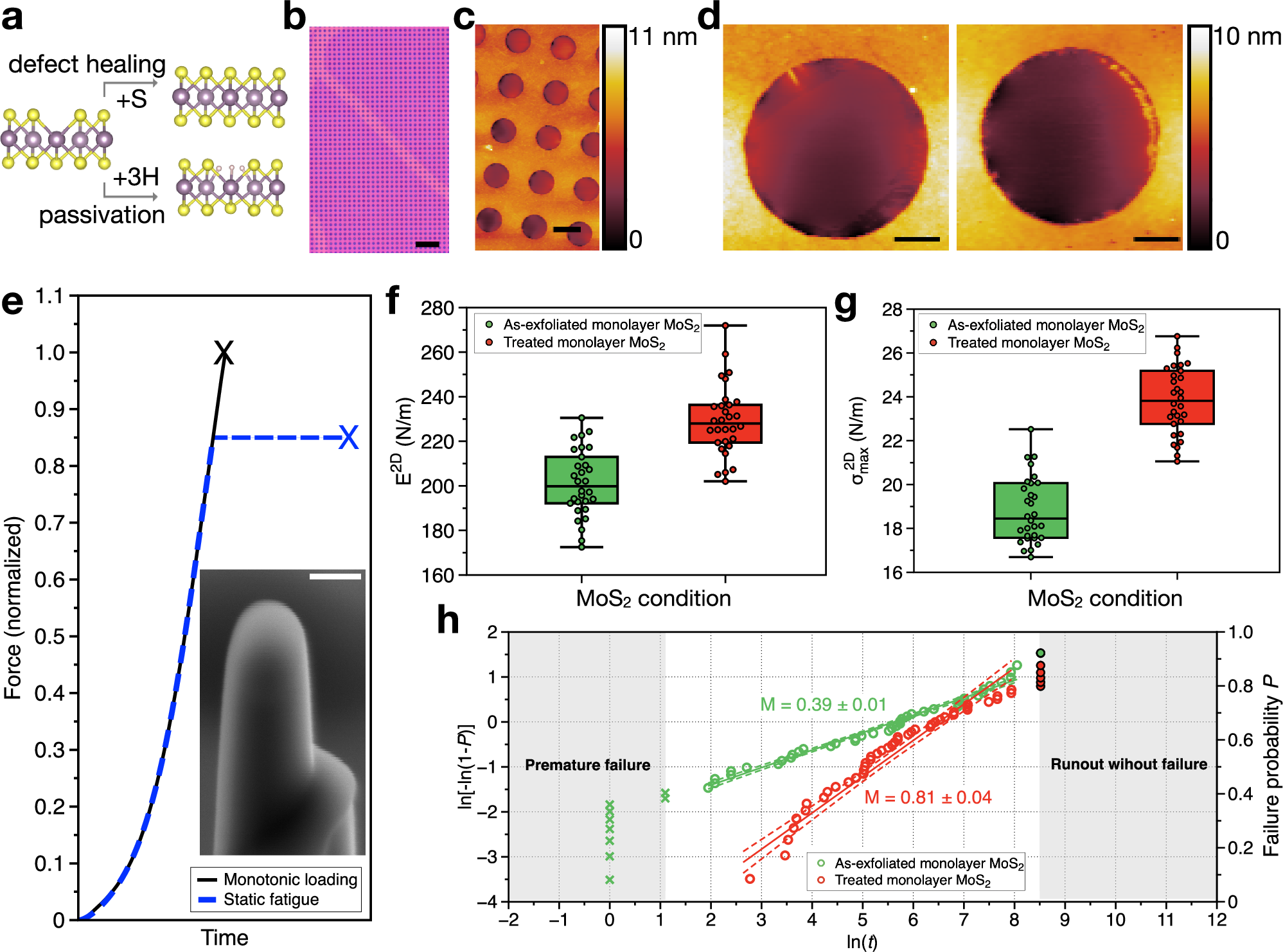 Fig. 1: Young’s modulus, fracture strength, and static fatigue.