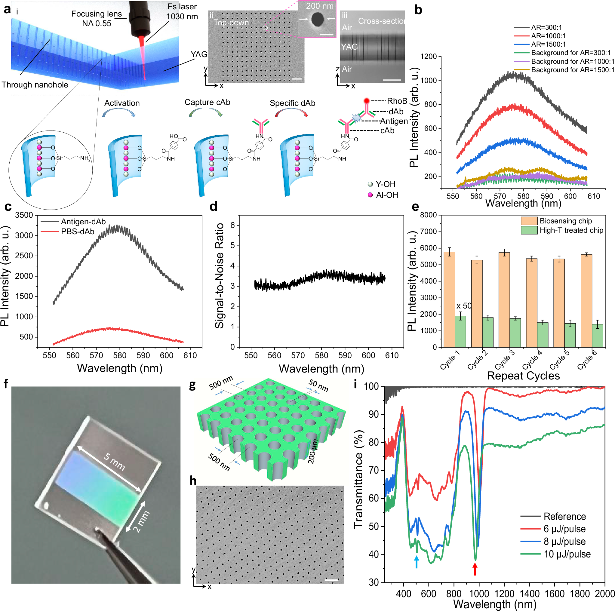 Fig. 4: Large-area holey nanophotonic devices.