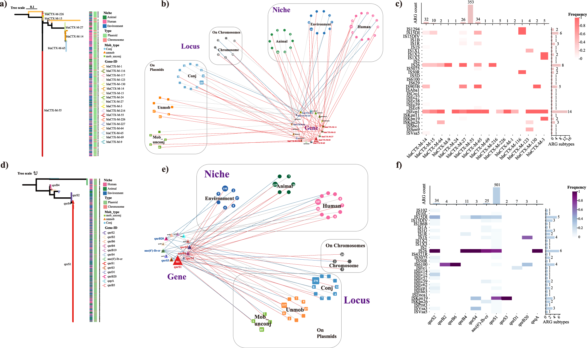 Fig. 6: Cross-sectoral dissemination and genomic context of high-risk ARGs.