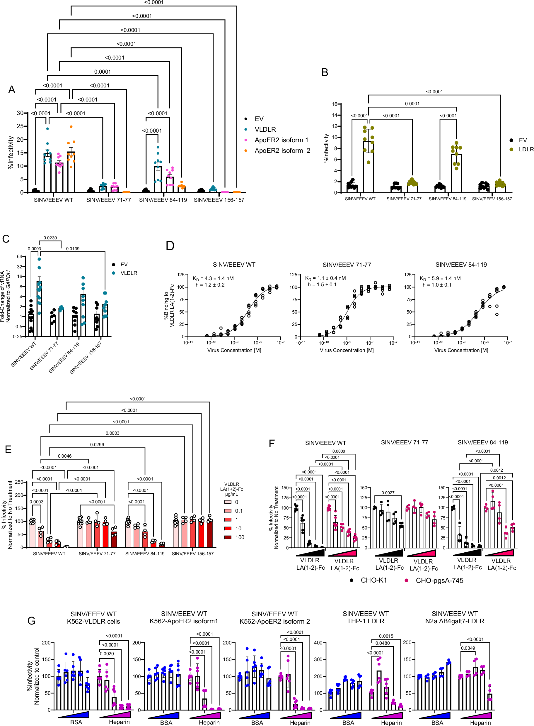Fig. 2: E2 mutations that disrupt E2 HS-binding sites also interfere with EEEV-protein receptor interactions.