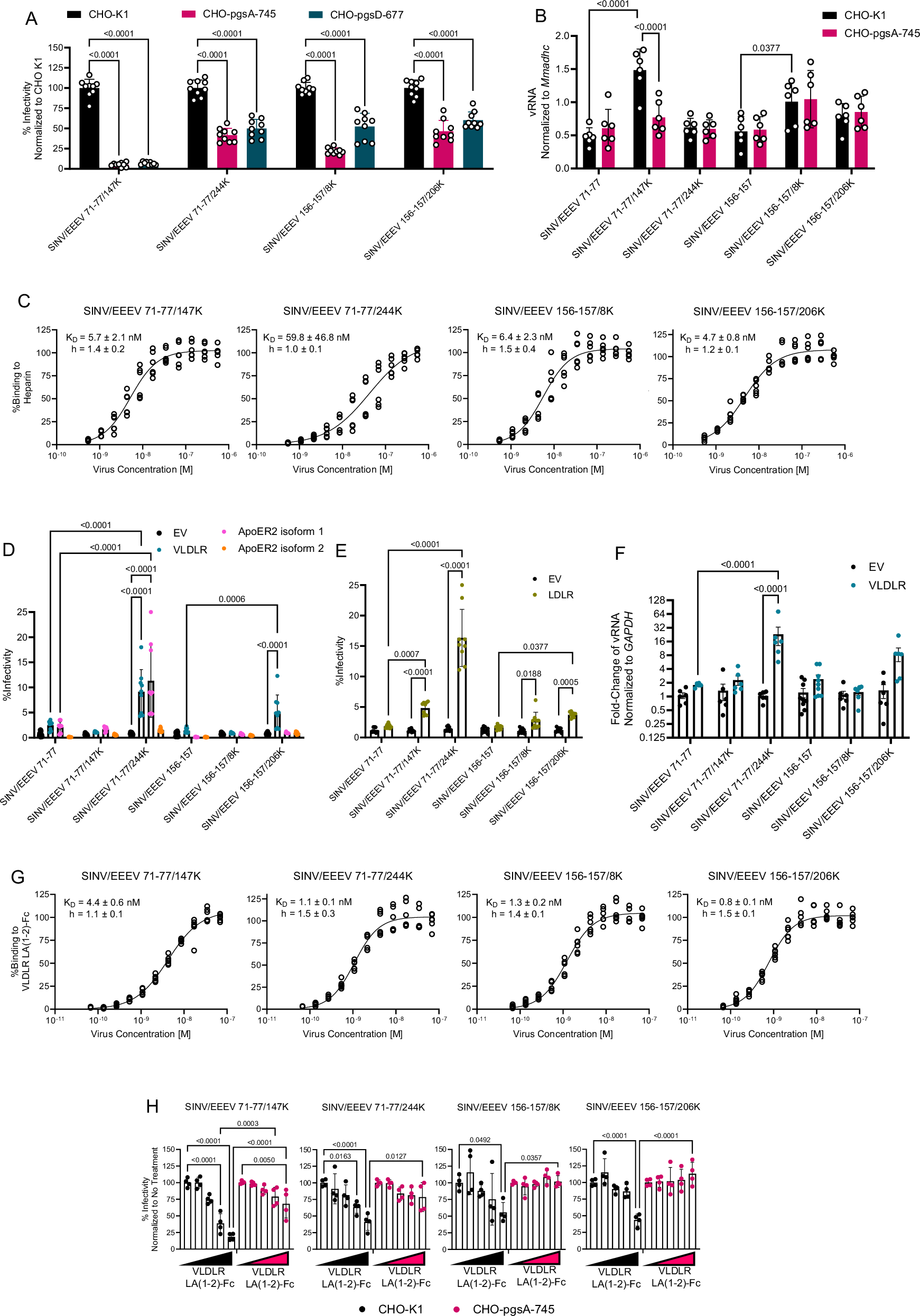 Fig. 3: Passage of HS/protein receptor binding site mutants on cultured cells selects for mutations that impact binding of both receptors.