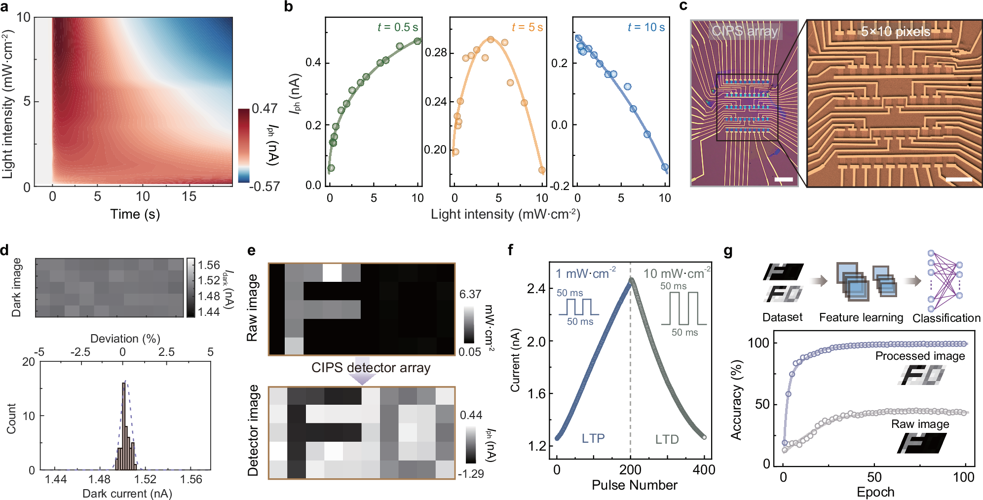 Fig. 3: CIPS photodetector array for image processing.