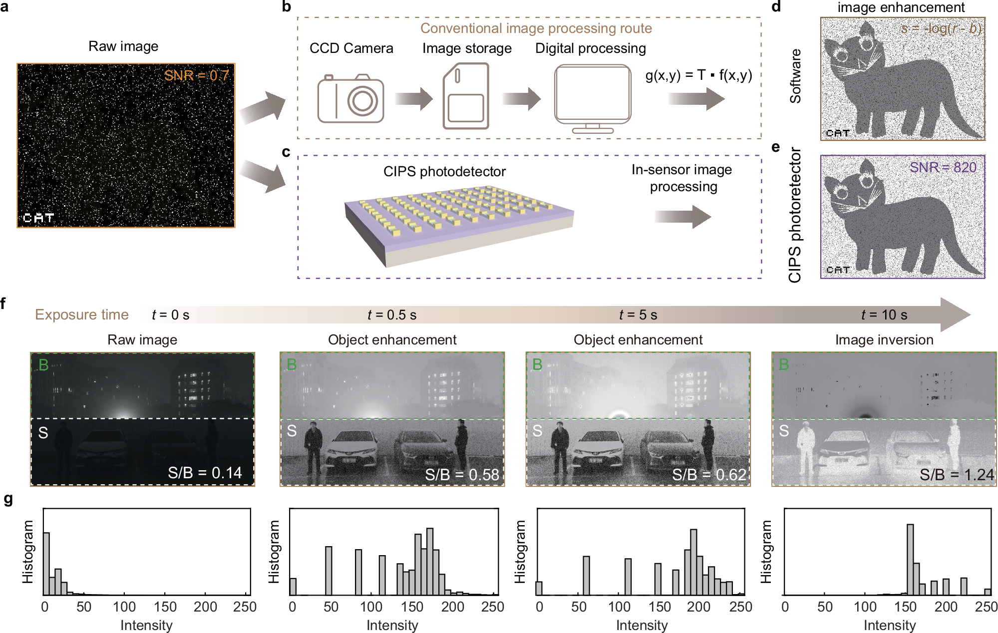 Fig. 4: In-sensor image transformations using the CIPS photodetector.