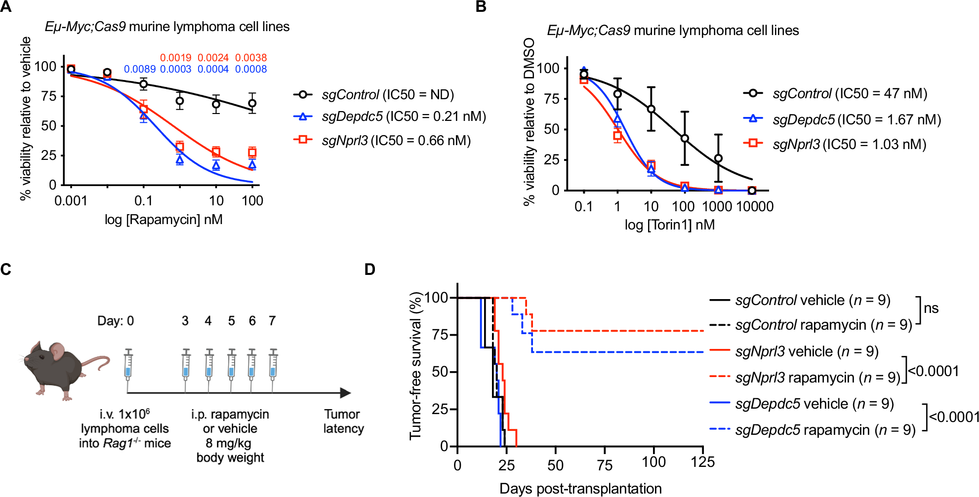 Fig. 5: GATOR1 deficient lymphoma cells are highly sensitive to mTORC1 inhibition in vitro and in vivo.