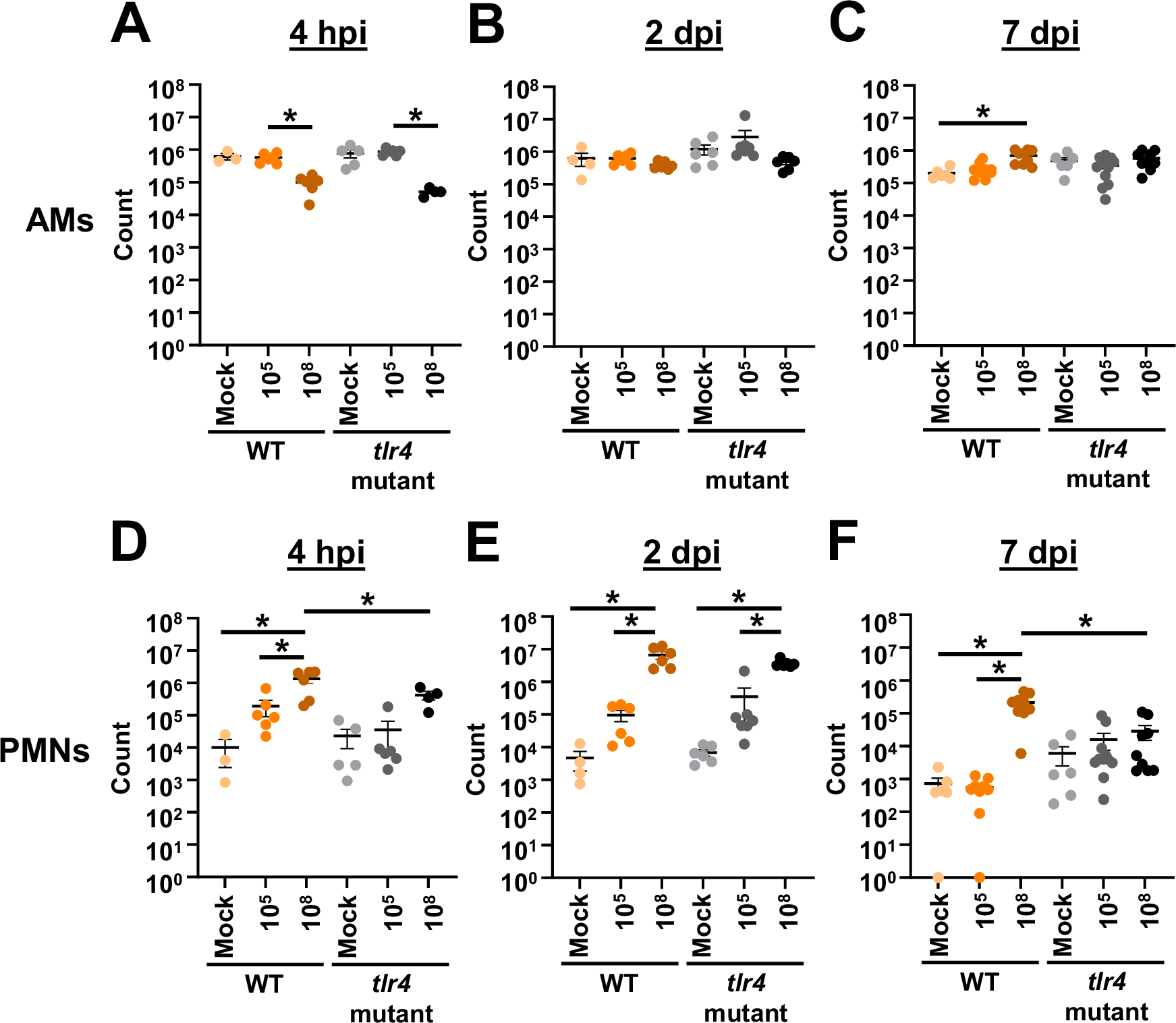 Fig. 2: Lower intranasal A. baumannii inoculums result in reduced lung neutrophil influx.