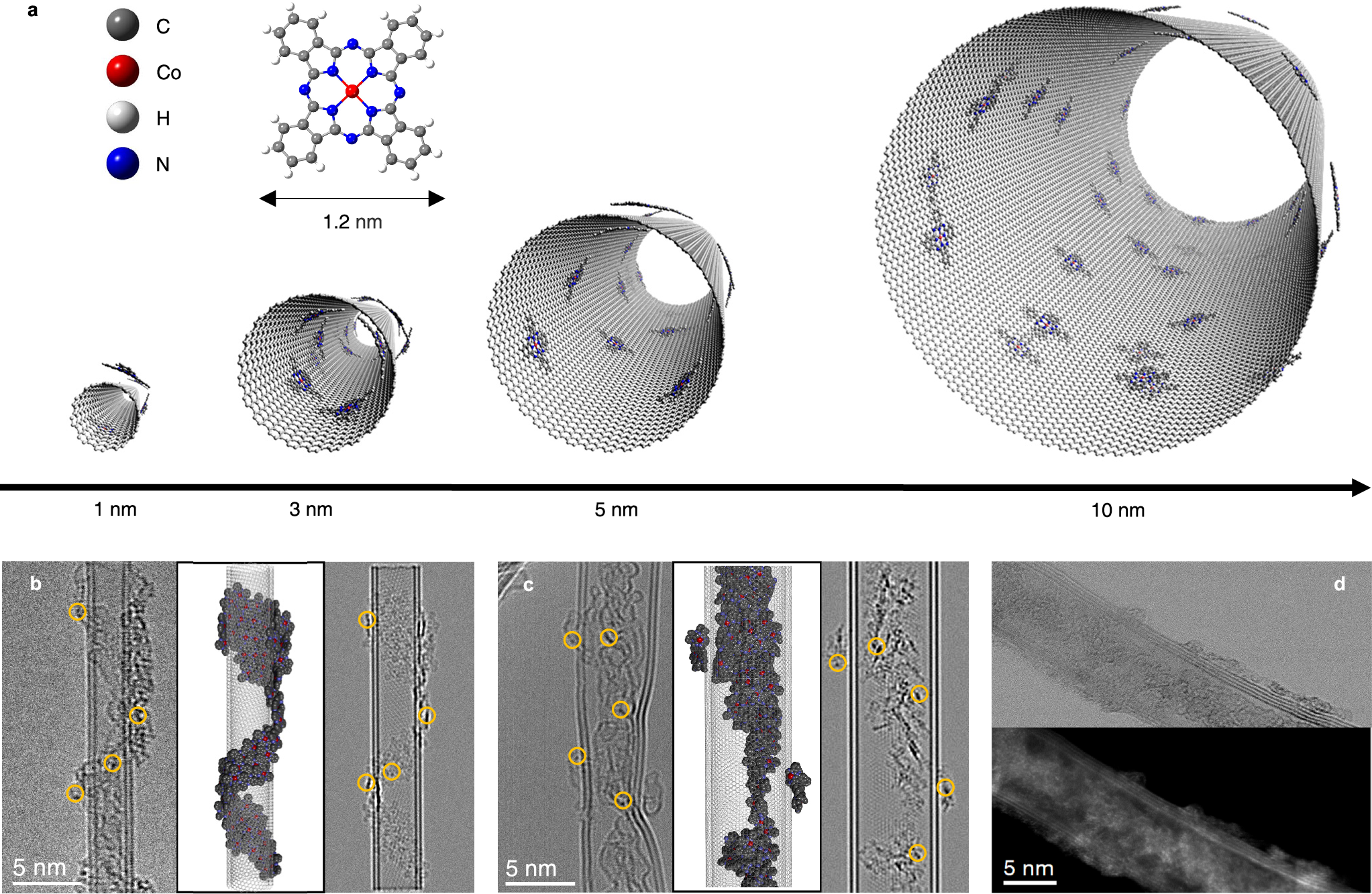 Fig. 2: Encapsulation of CoPc within CNTs.
