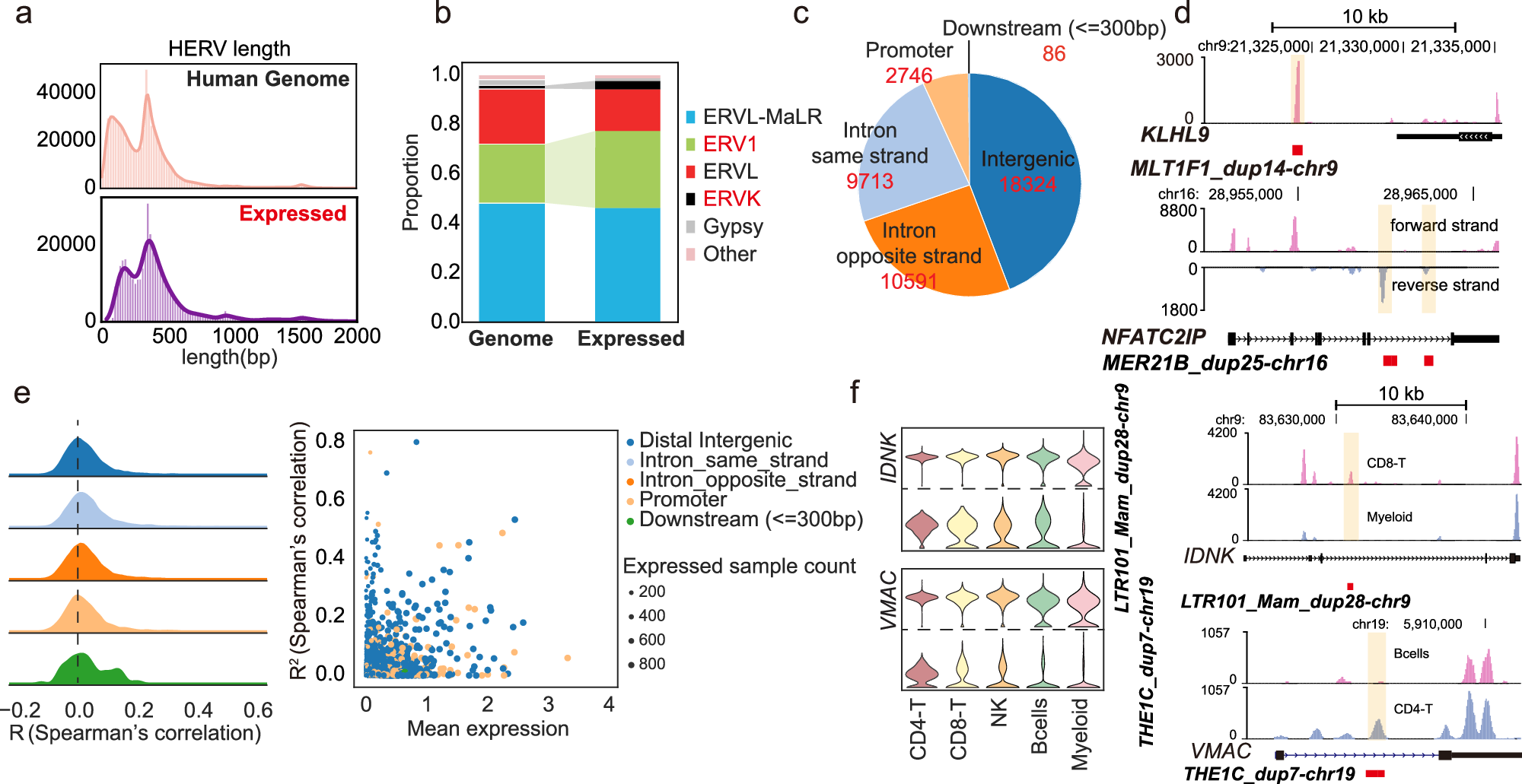 Fig. 2: Comprehensive characterization of HERVs.