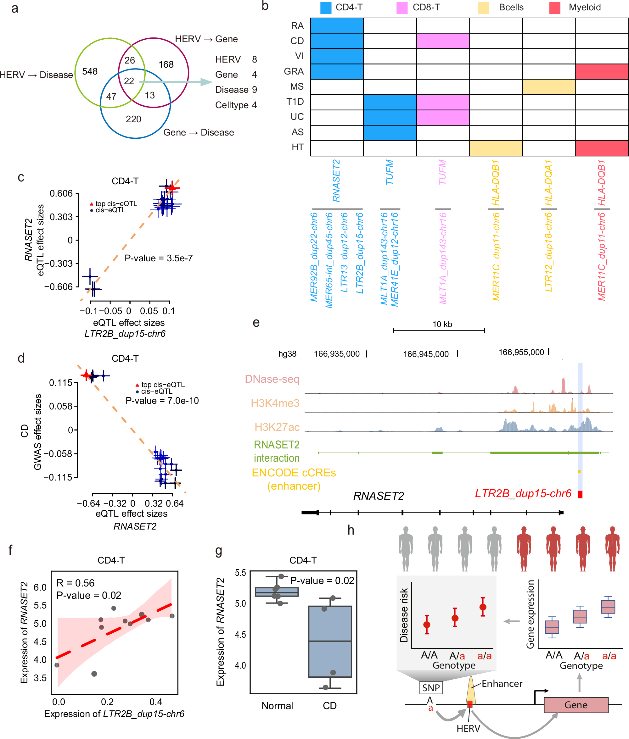 Fig. 6: Pleiotropic associations and regulation between HERVs and the expression of disease-associated genes.